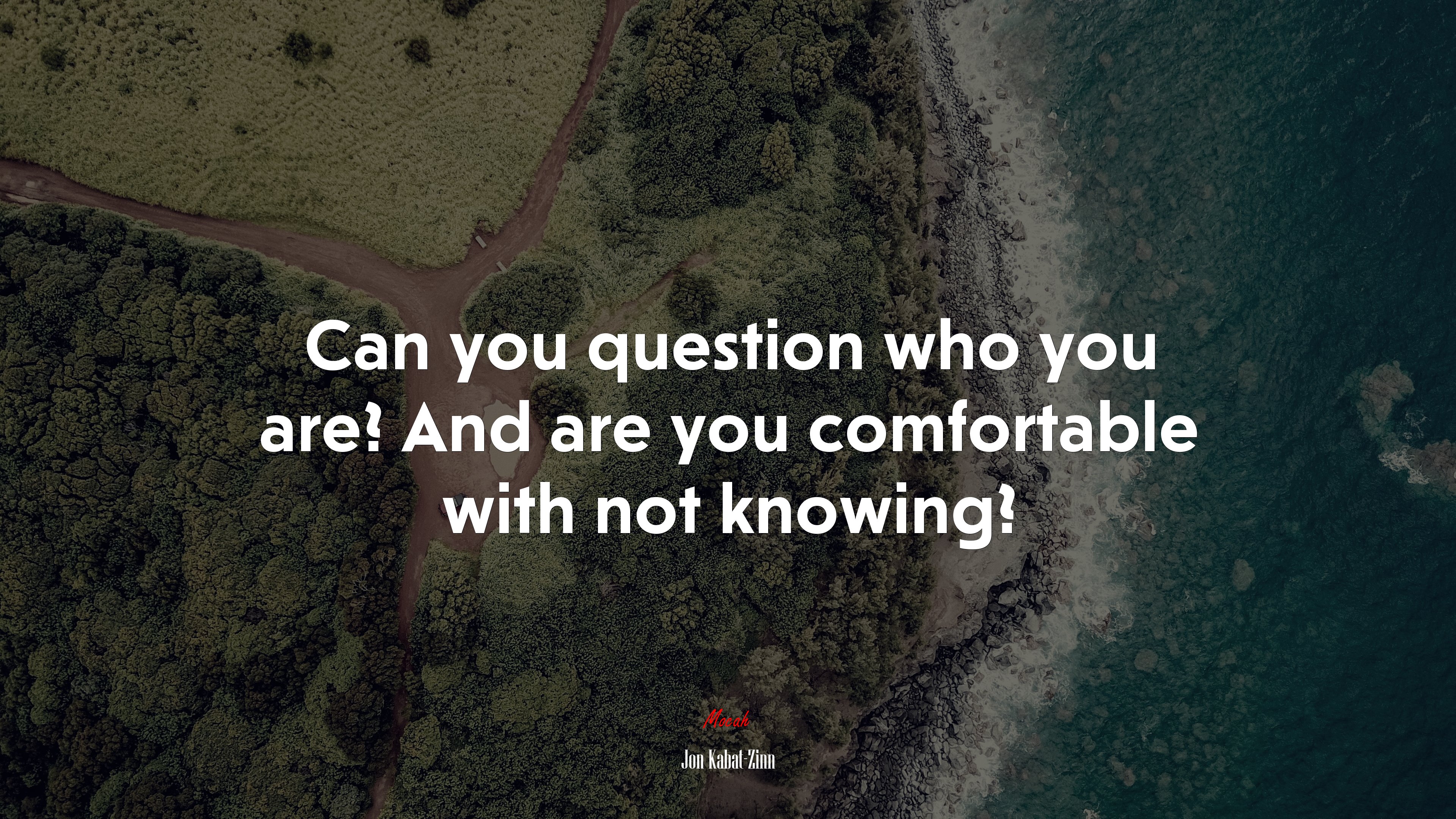 Can you question who you are? And are you comfortable with not knowing? | Jon Kabat-Zinn quote HD Wallpaper
