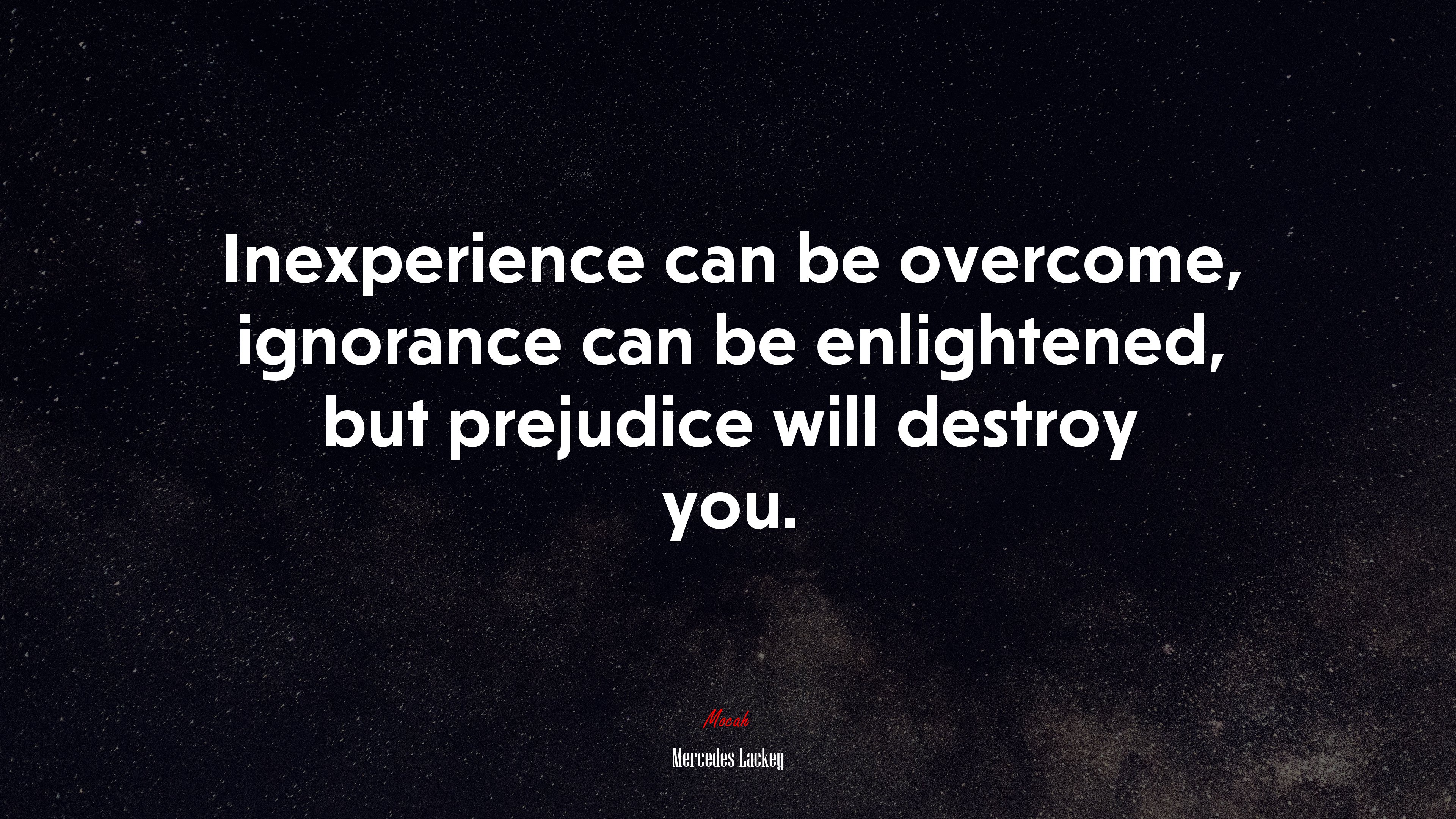 Inexperience can be overcome, ignorance can be enlightened, but prejudice will destroy you. | Mercedes Lackey quote HD Wallpaper