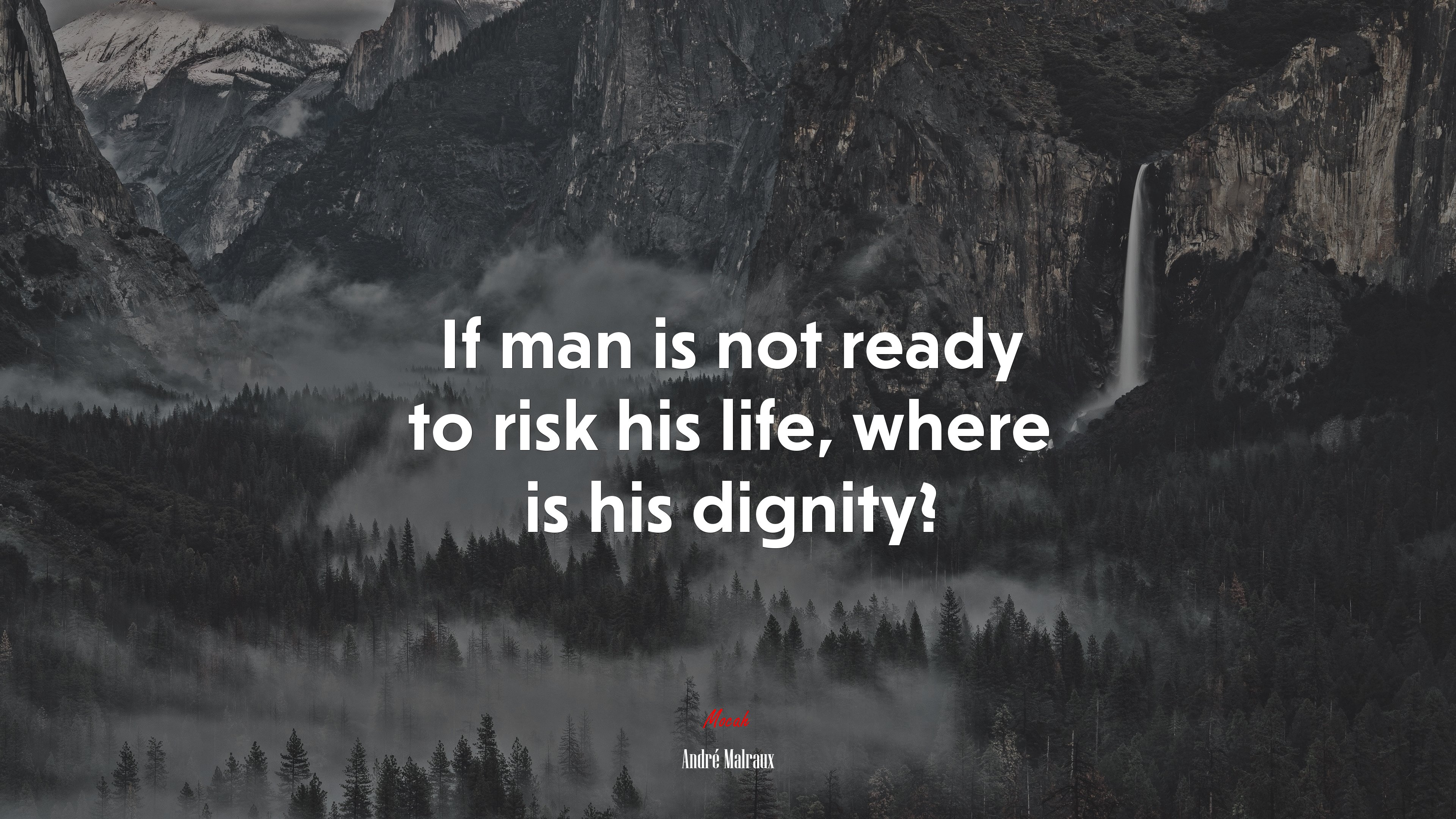 If man is not ready to risk his life, where is his dignity? | André Malraux quote HD Wallpaper
