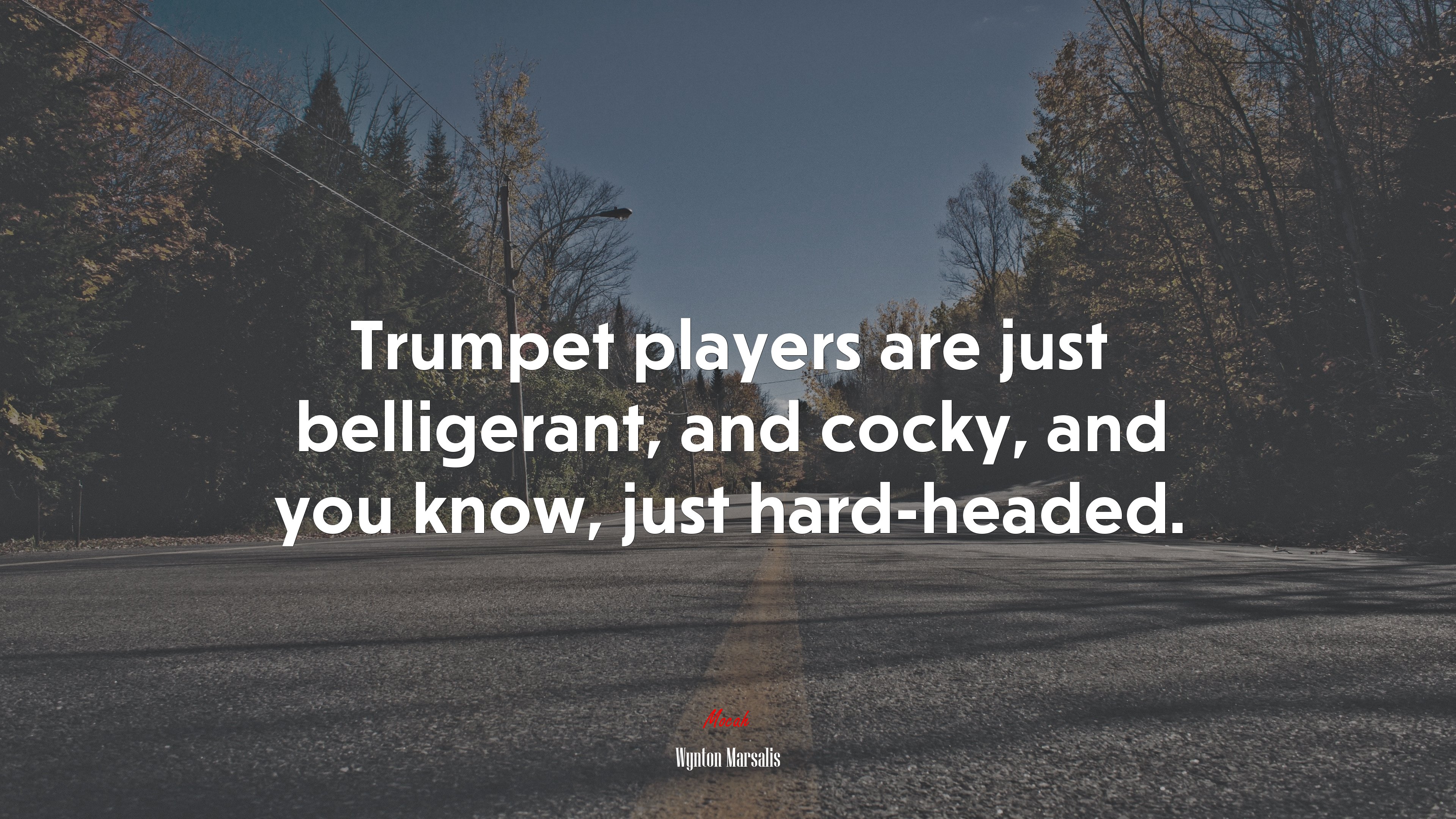 Trumpet players are just belligerant, and cocky, and you know, just hard-headed. | Wynton Marsalis quote HD Wallpaper