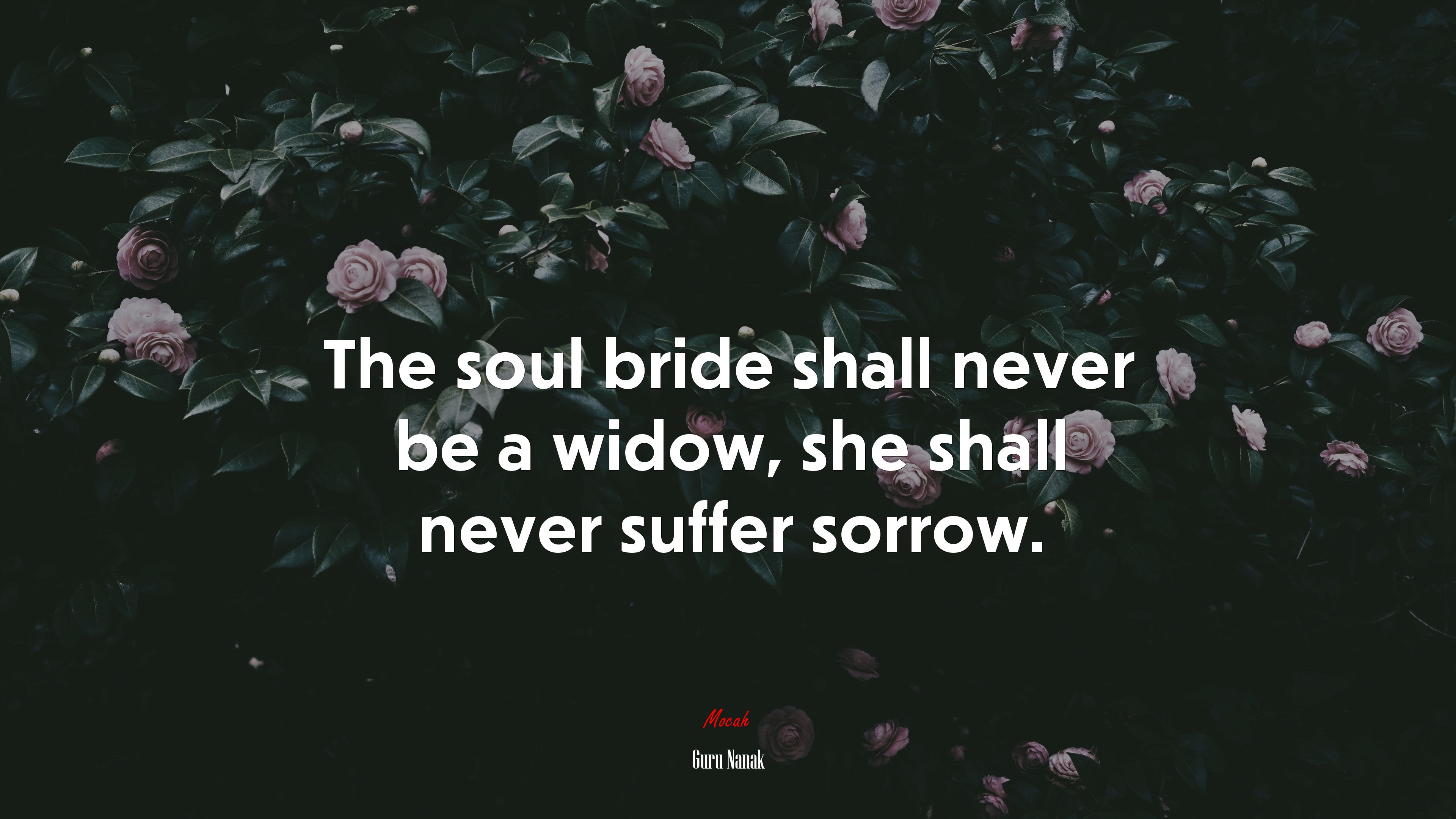 The soul bride shall never be a widow, she shall never suffer sorrow. | Guru Nanak quote HD Wallpaper