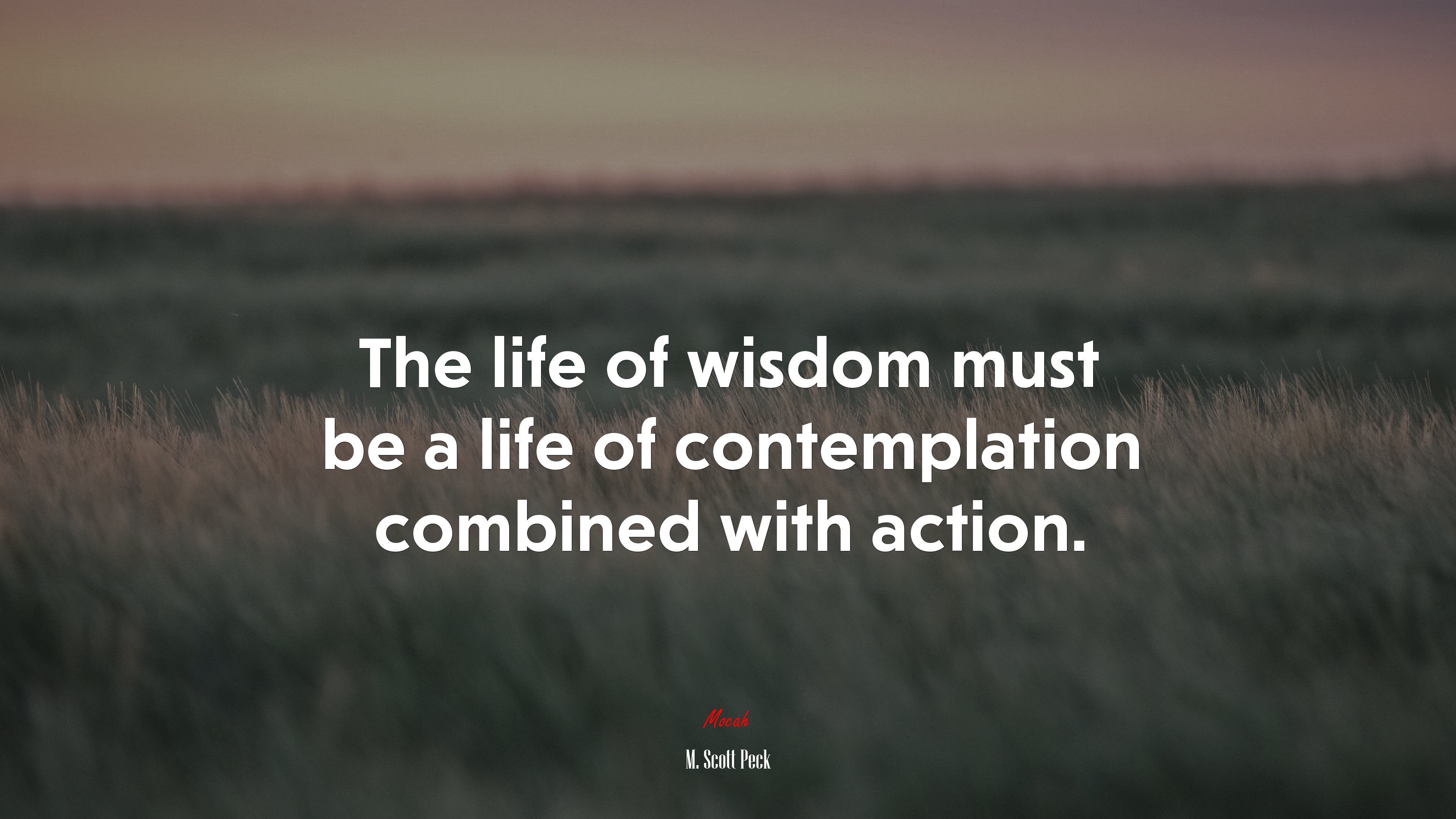 The life of wisdom must be a life of contemplation combined with action. | M. Scott Peck quote HD Wallpaper