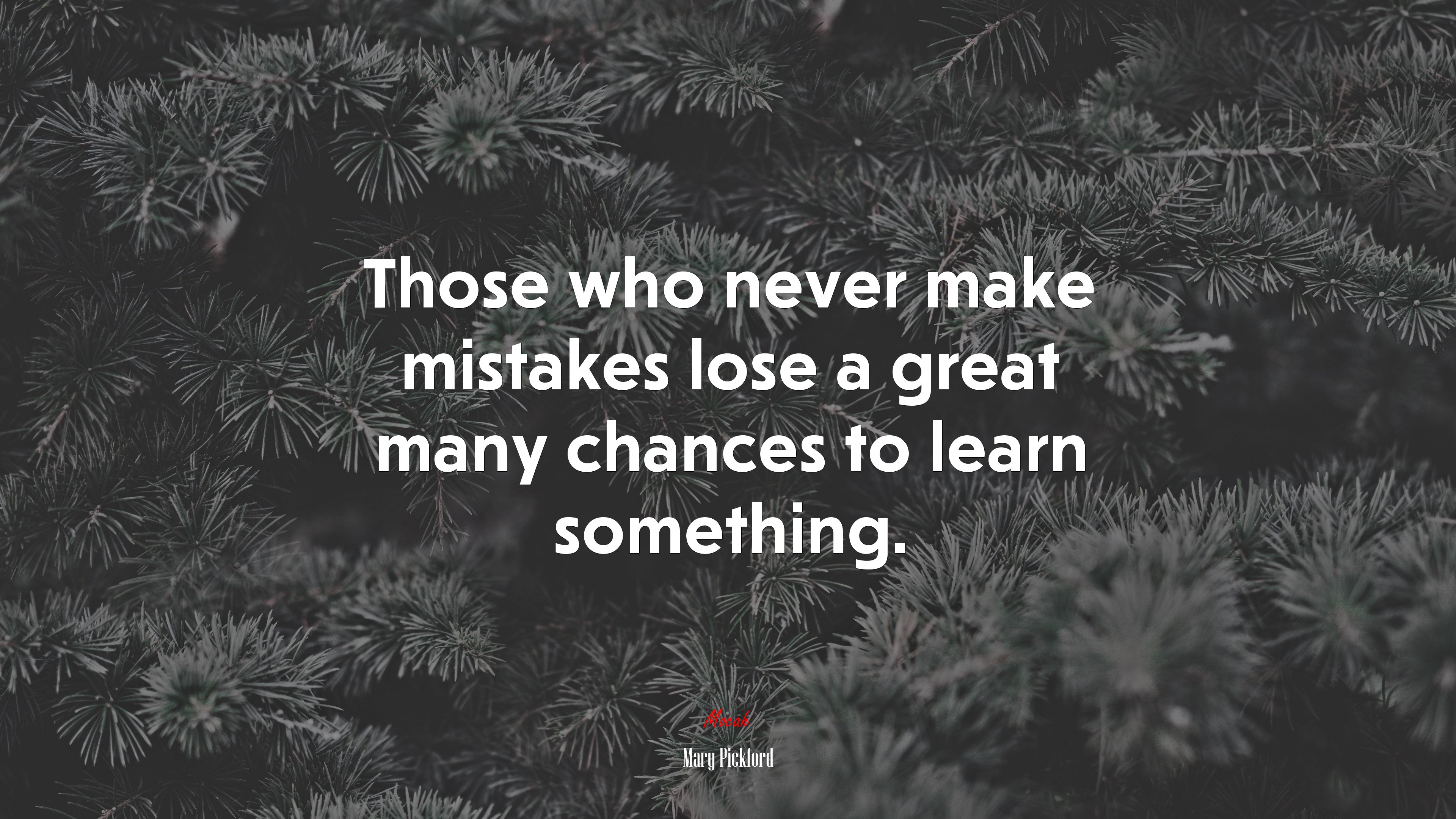 Those who never make mistakes lose a great many chances to learn something. | Mary Pickford quote HD Wallpaper