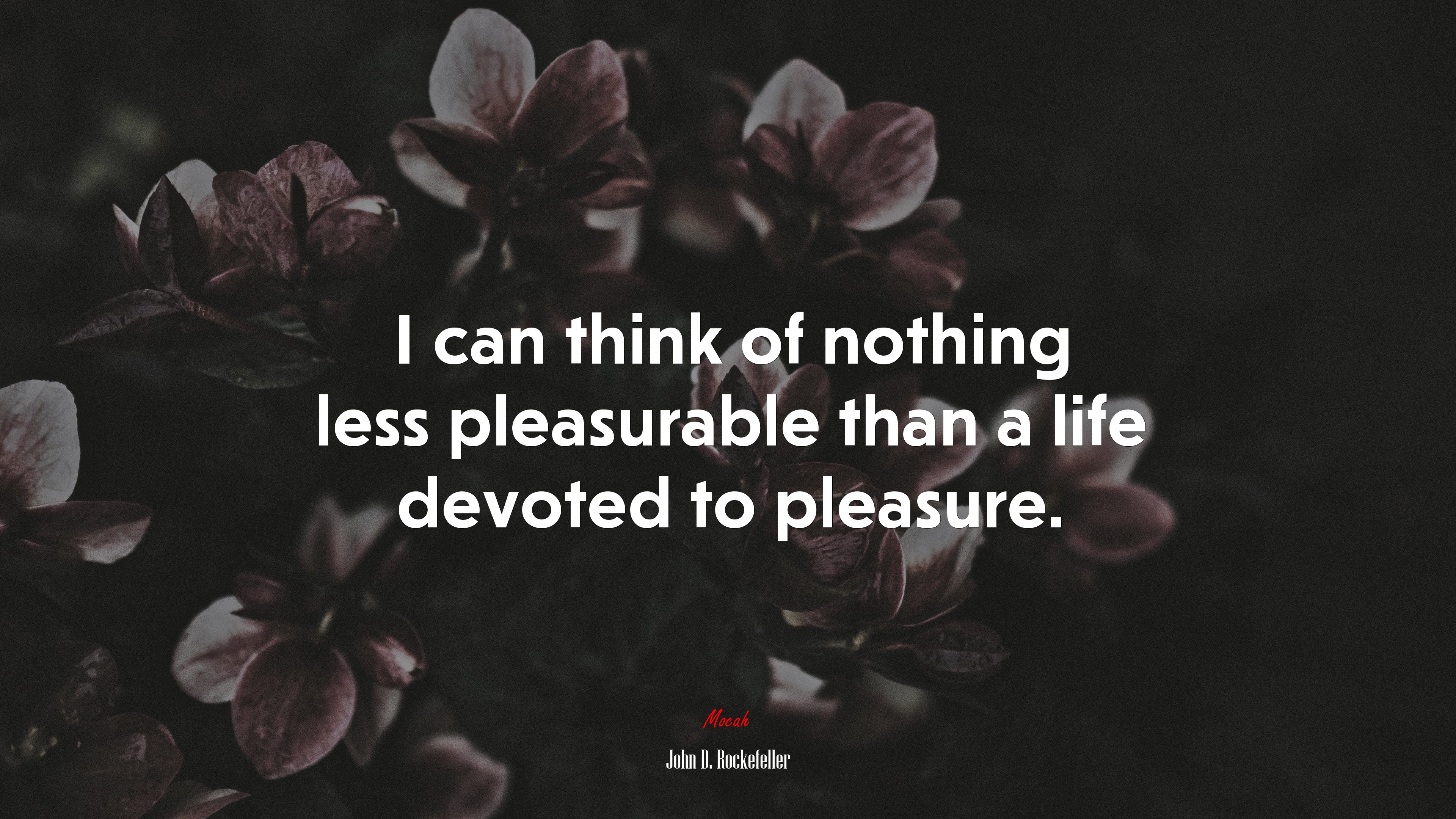 I can think of nothing less pleasurable than a life devoted to pleasure. | John D. Rockefeller quote HD Wallpaper