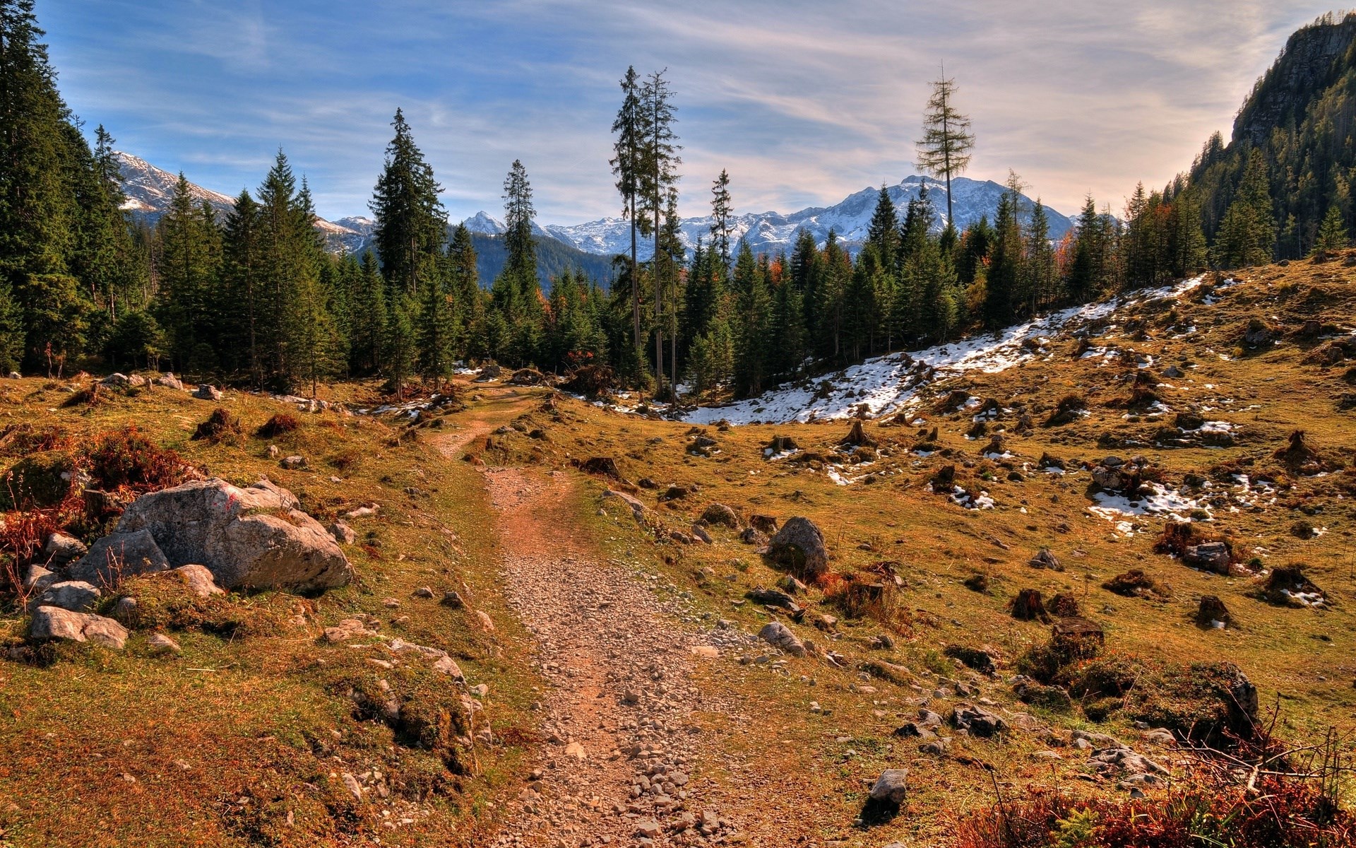 Mountain path through a forest with snow-capped peaks HD Wallpaper