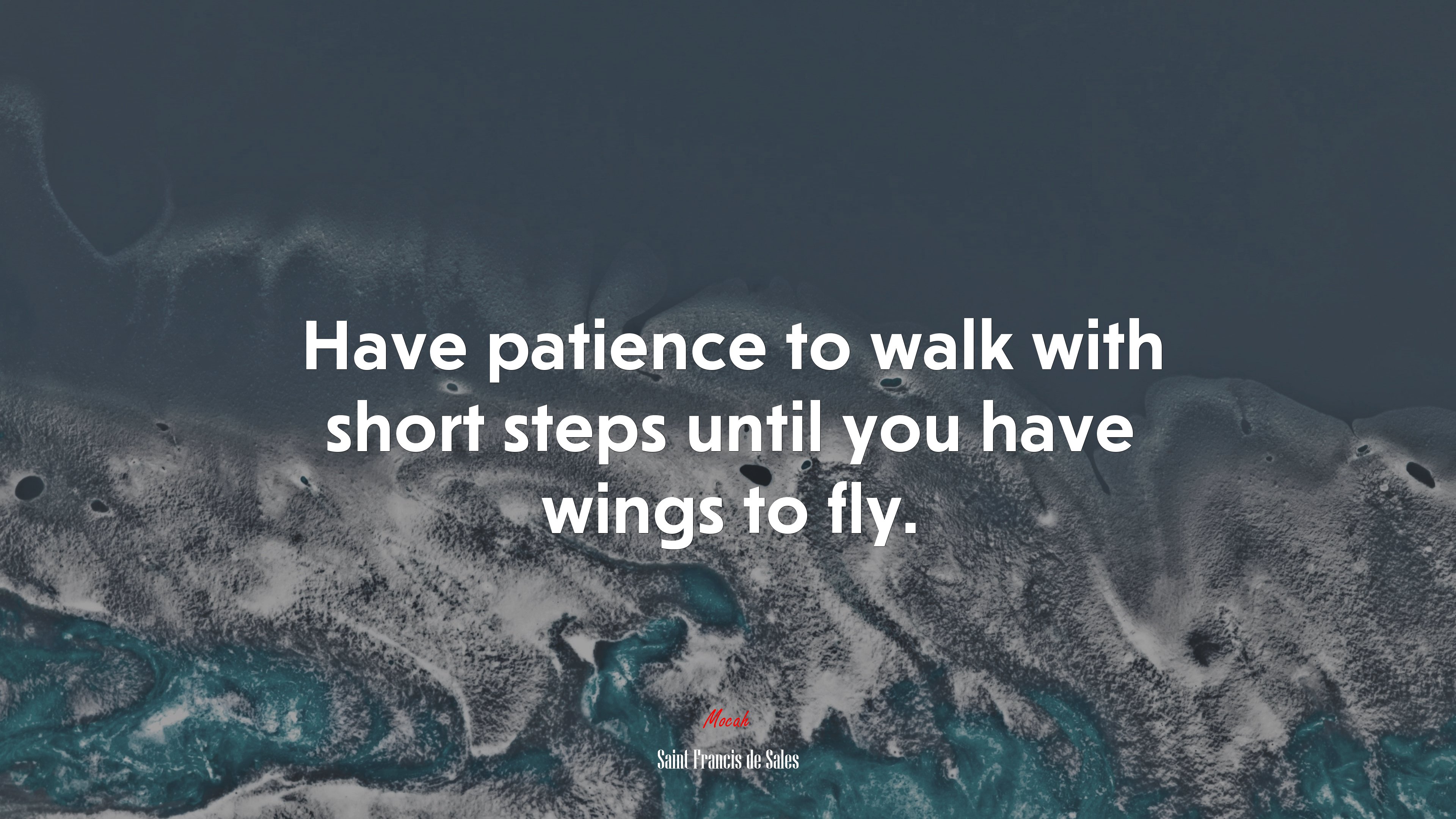 Have patience to walk with short steps until you have wings to fly. | Saint Francis de Sales quote HD Wallpaper