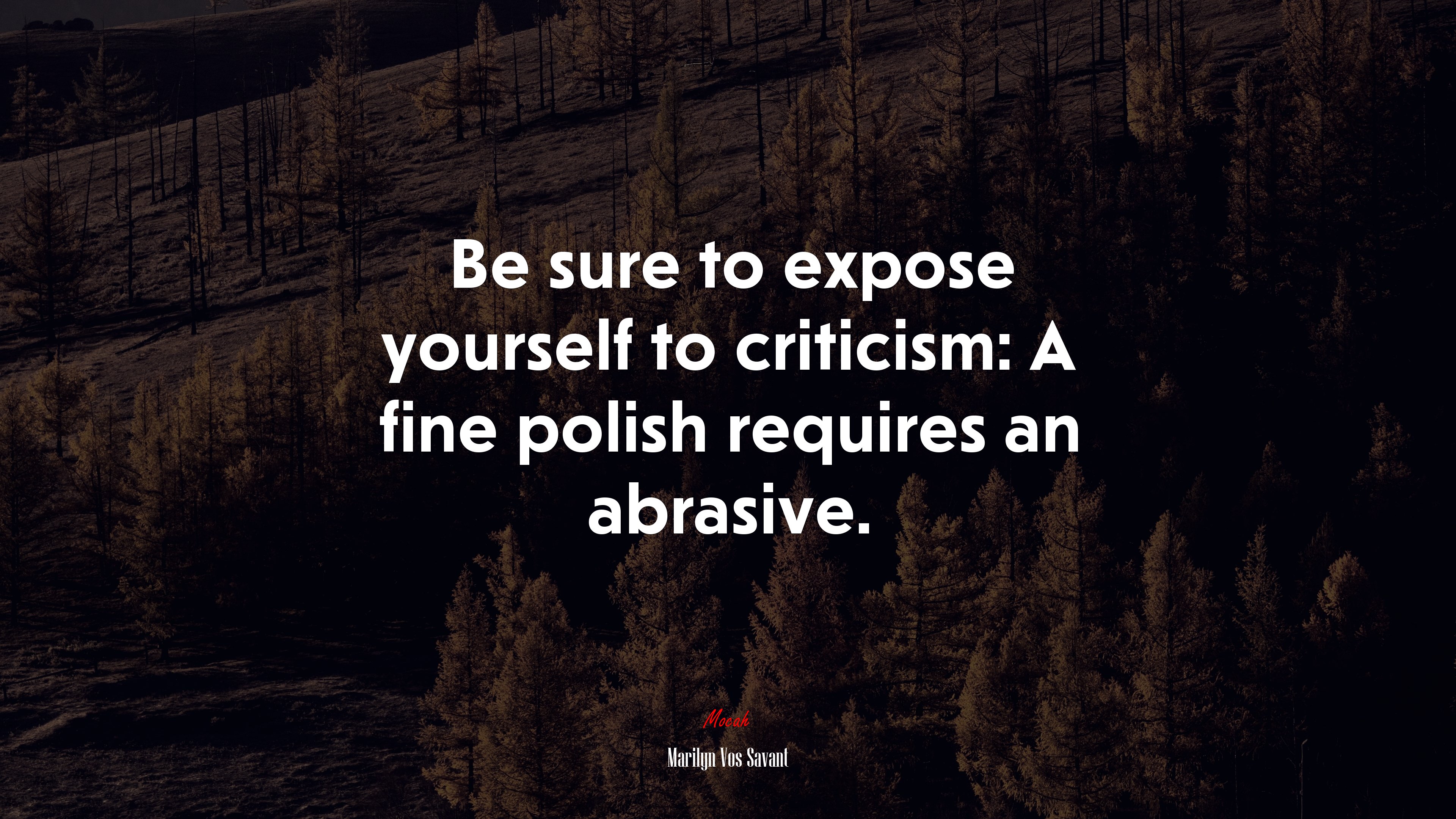 Be sure to expose yourself to criticism: A fine polish requires an abrasive. | Marilyn Vos Savant quote HD Wallpaper