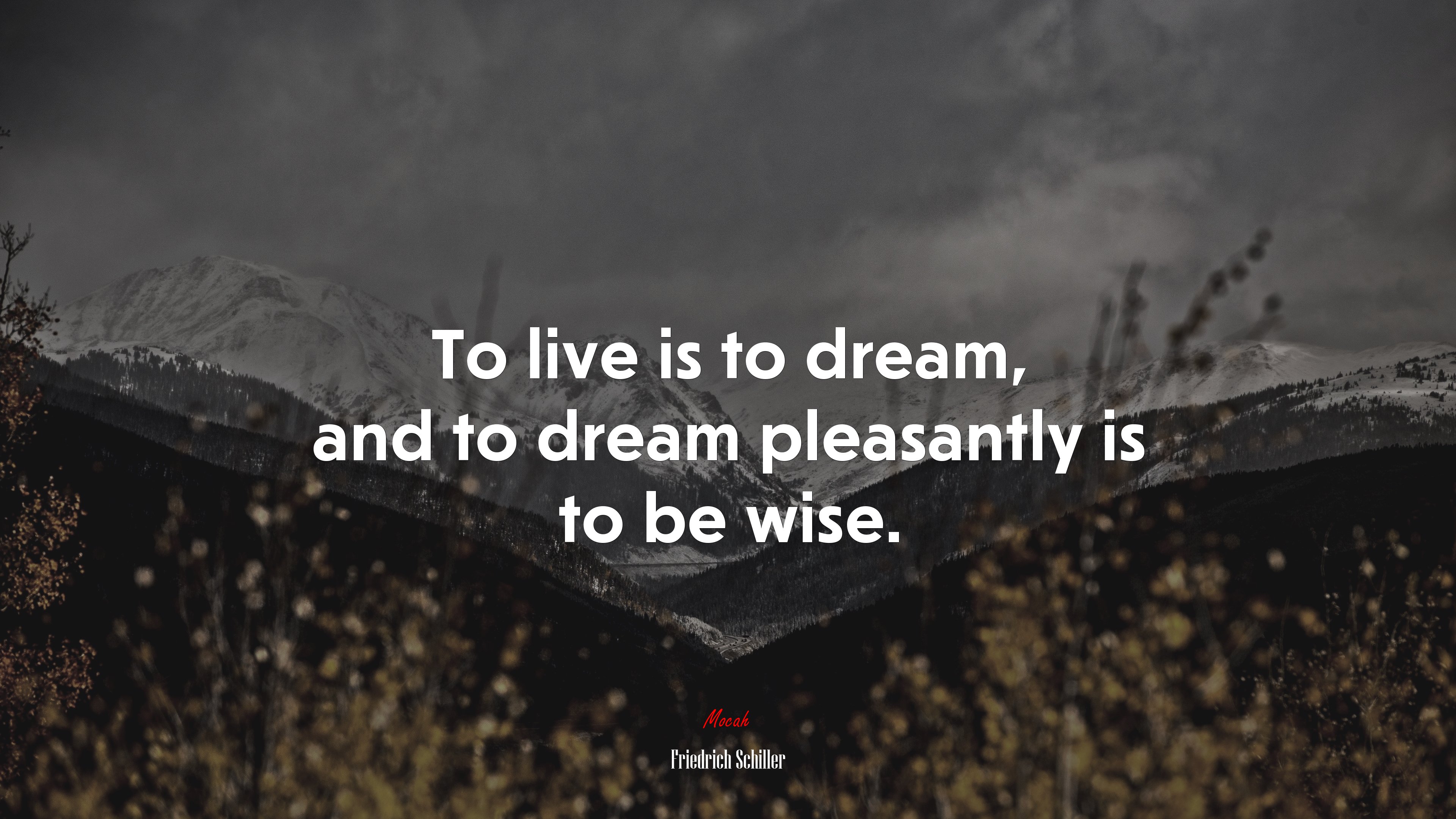 To live is to dream, and to dream pleasantly is to be wise. | Friedrich Schiller quote HD Wallpaper