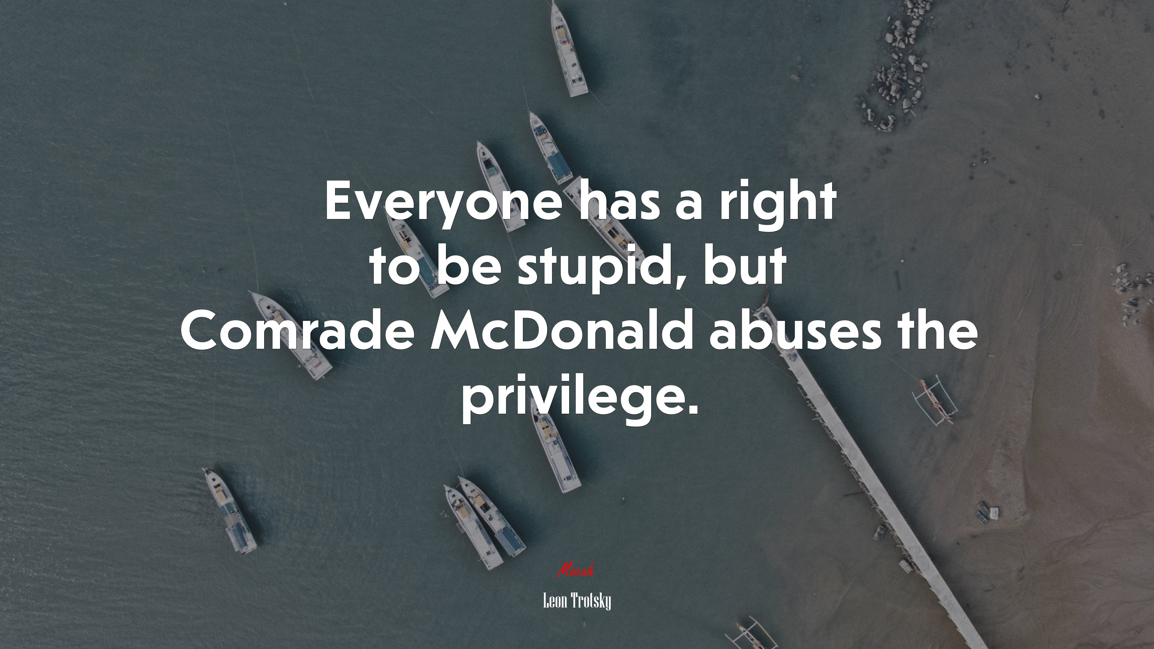 Everyone has a right to be stupid, but Comrade McDonald abuses the privilege. | Leon Trotsky quote HD Wallpaper