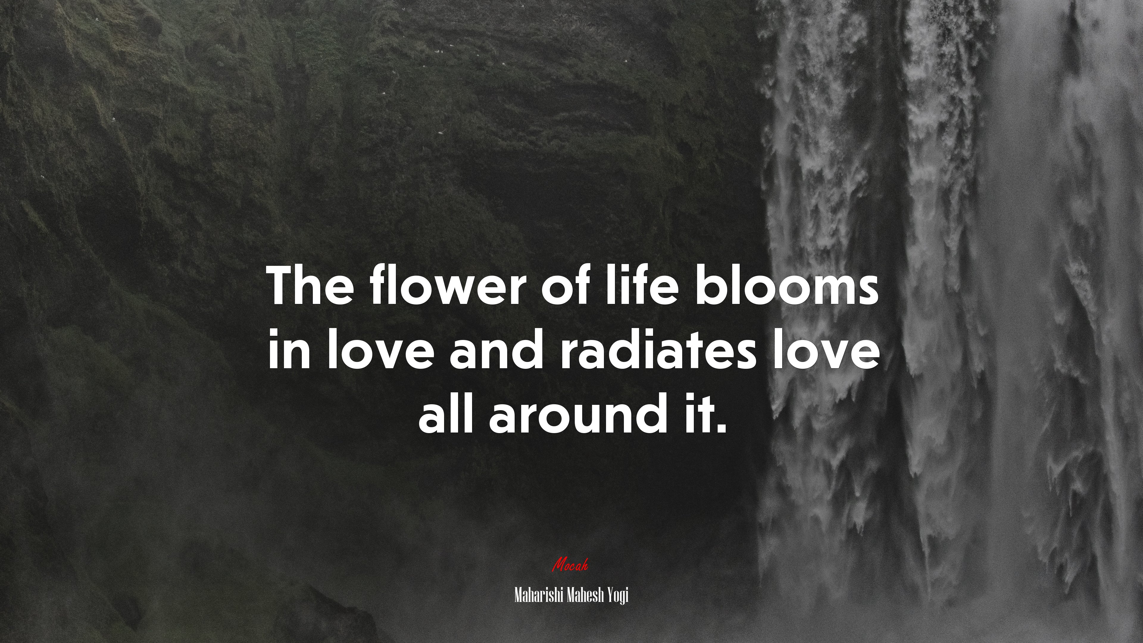 The flower of life blooms in love and radiates love all around it. | Maharishi Mahesh Yogi quote HD Wallpaper