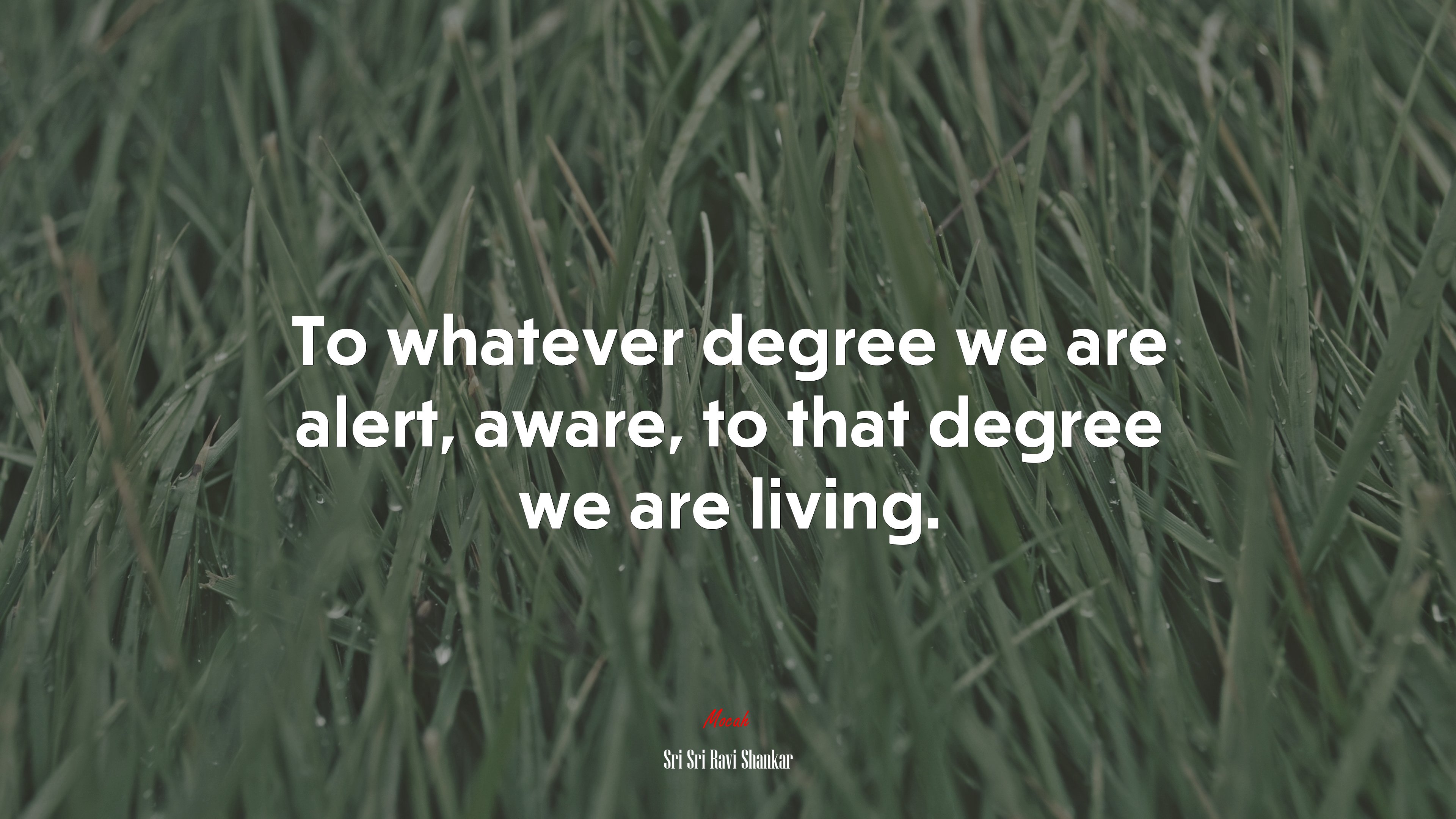 To whatever degree we are alert, aware, to that degree we are living. | Sri Sri Ravi Shankar quote HD Wallpaper