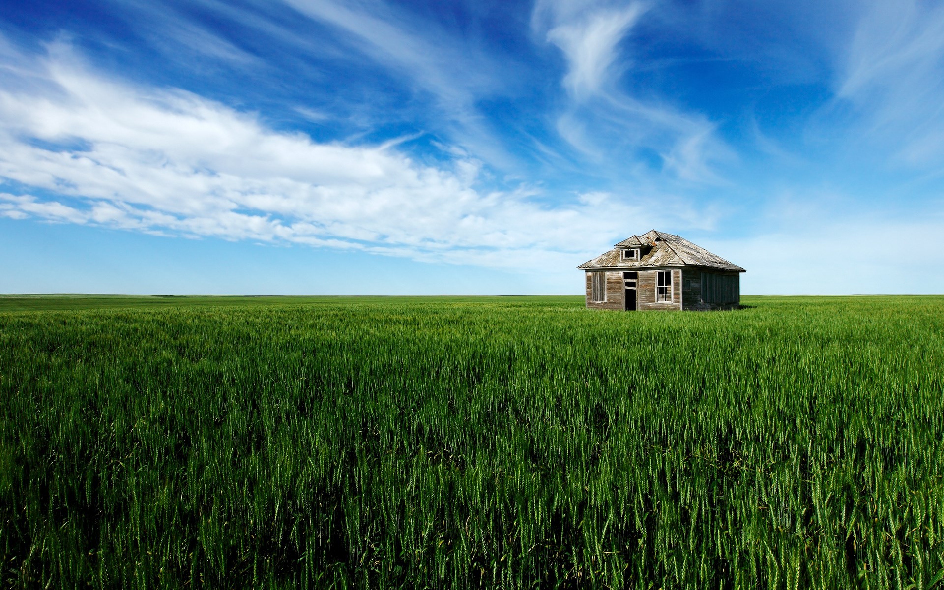 Abandoned house in a green field under a blue sky HD Wallpaper