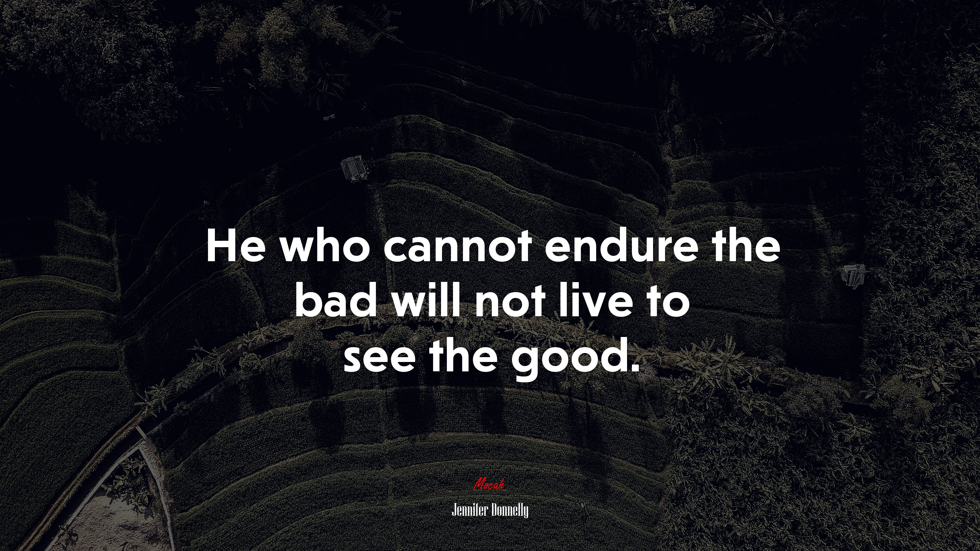 He who cannot endure the bad will not live to see the good. | Jennifer Donnelly quote HD Wallpaper