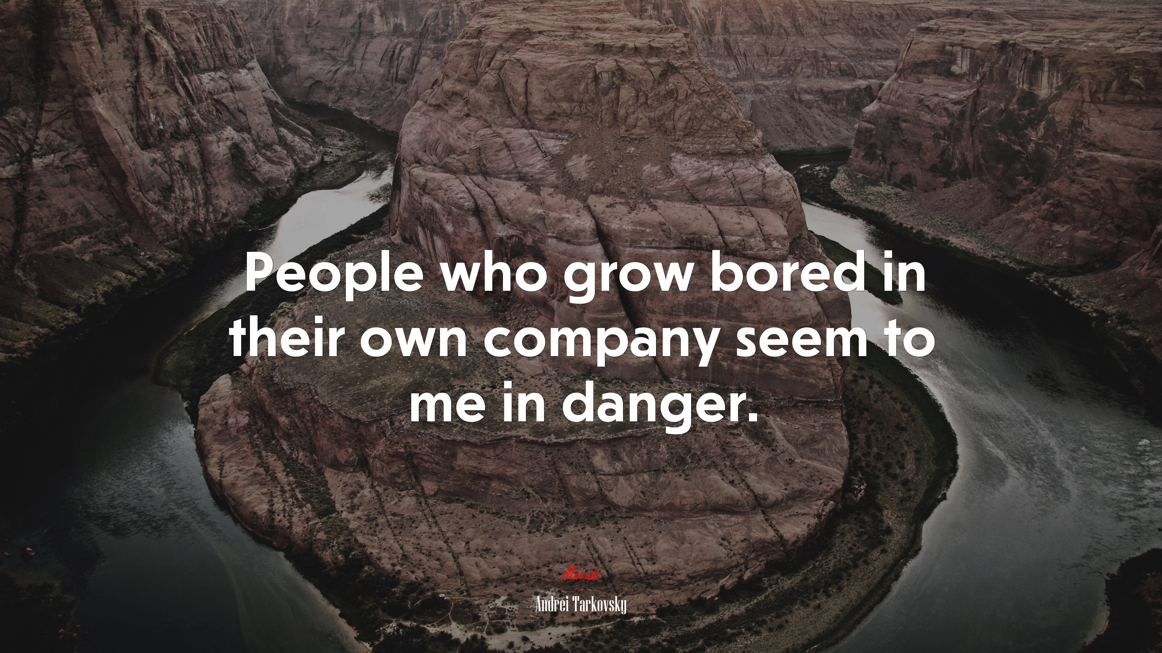 People who grow bored in their own company seem to me in danger. | Andrei Tarkovsky quote HD Wallpaper