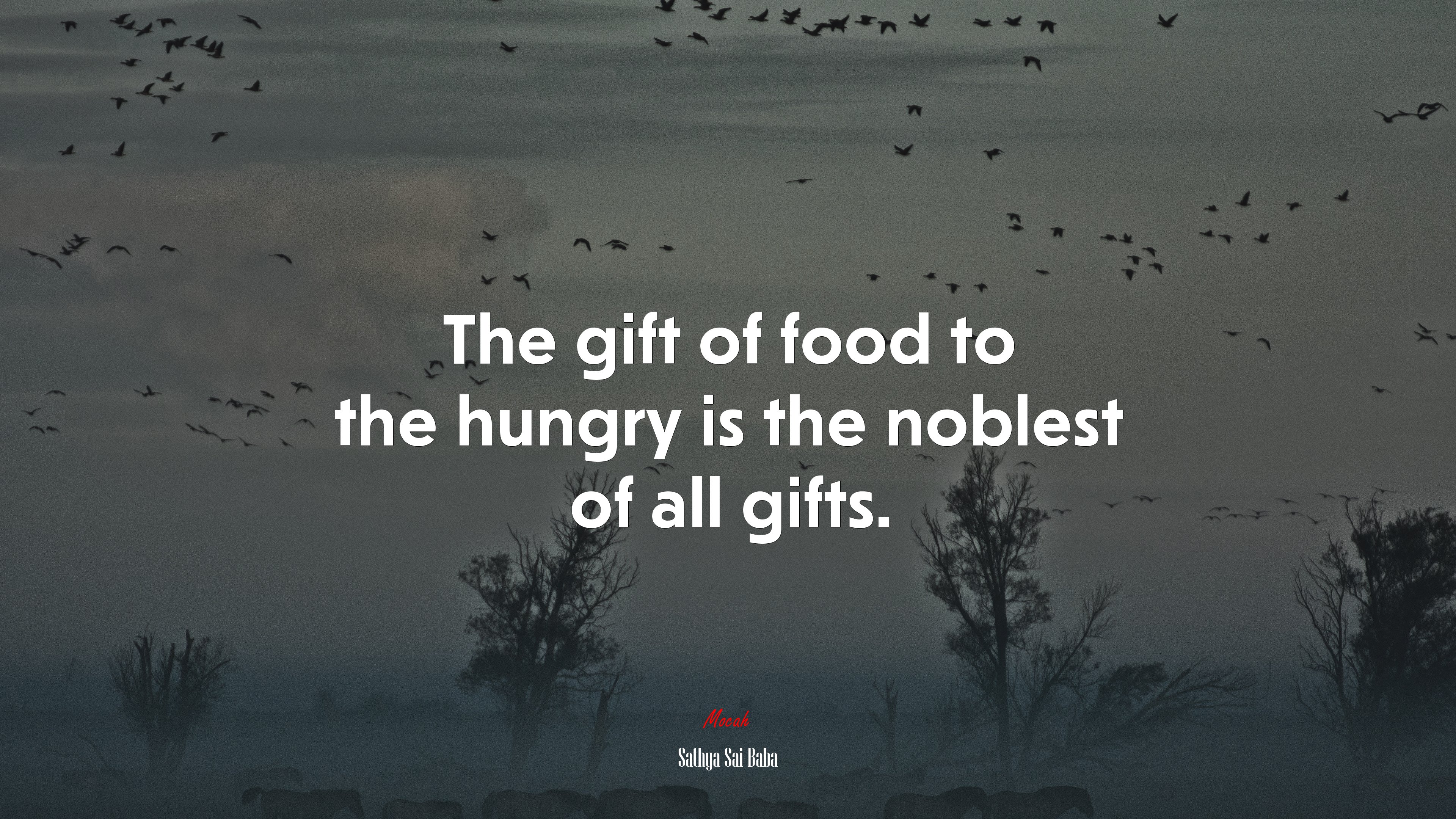 The gift of food to the hungry is the noblest of all gifts. | Sathya Sai Baba quote HD Wallpaper