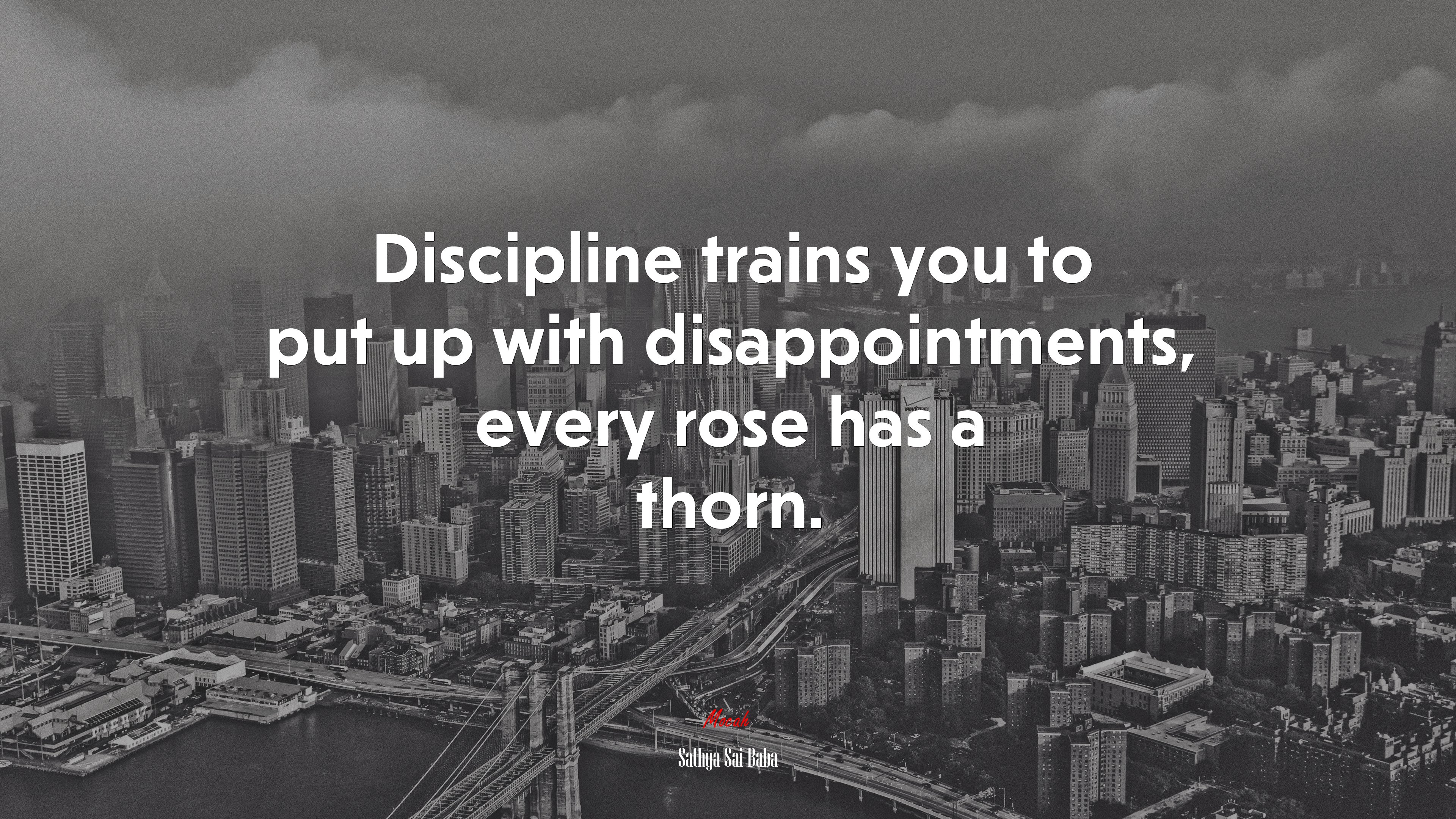 Discipline trains you to put up with disappointments, every rose has a thorn. | Sathya Sai Baba quote HD Wallpaper