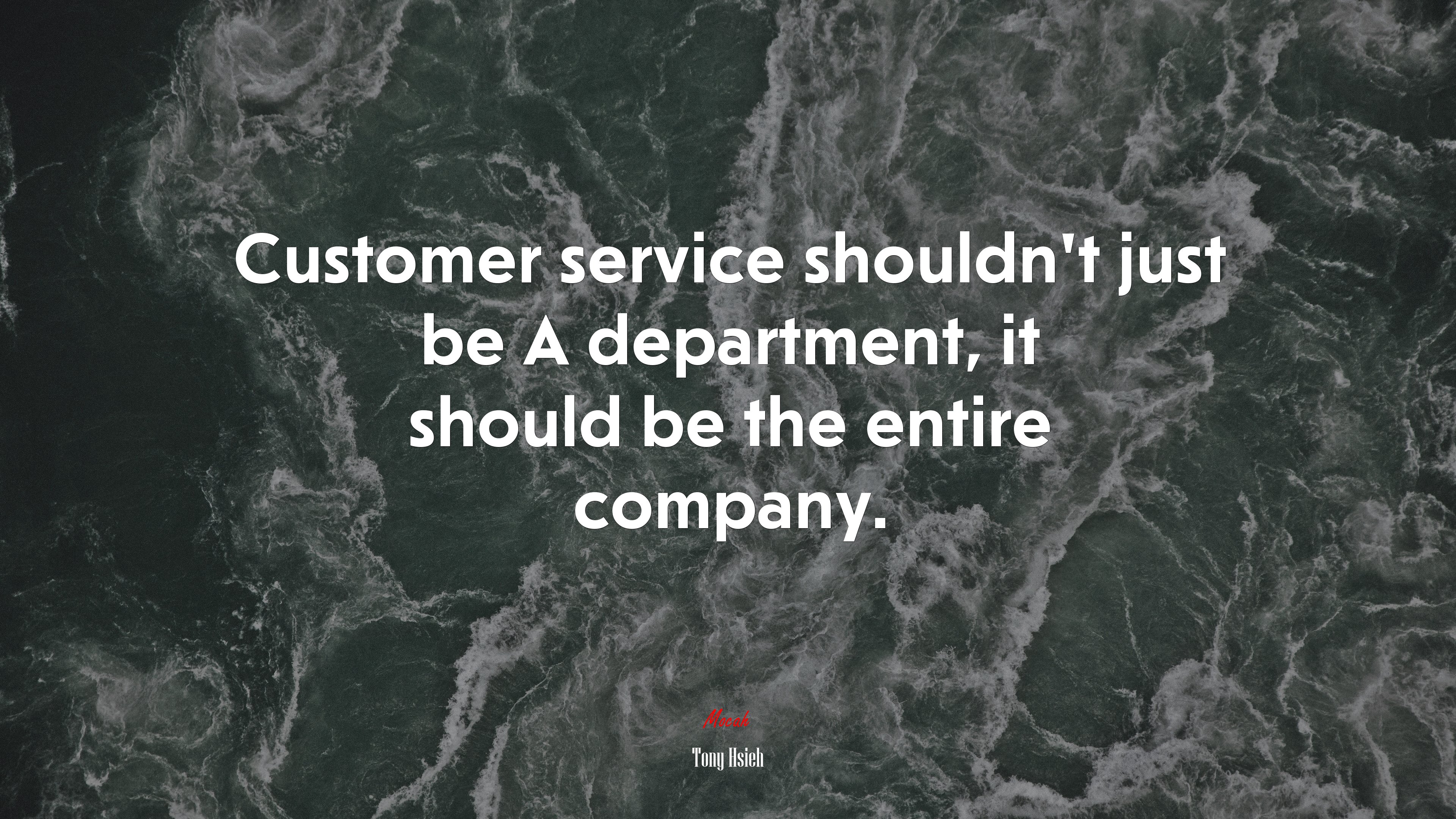 Customer service shouldn’t just be A department, it should be the entire company. | Tony Hsieh quote HD Wallpaper
