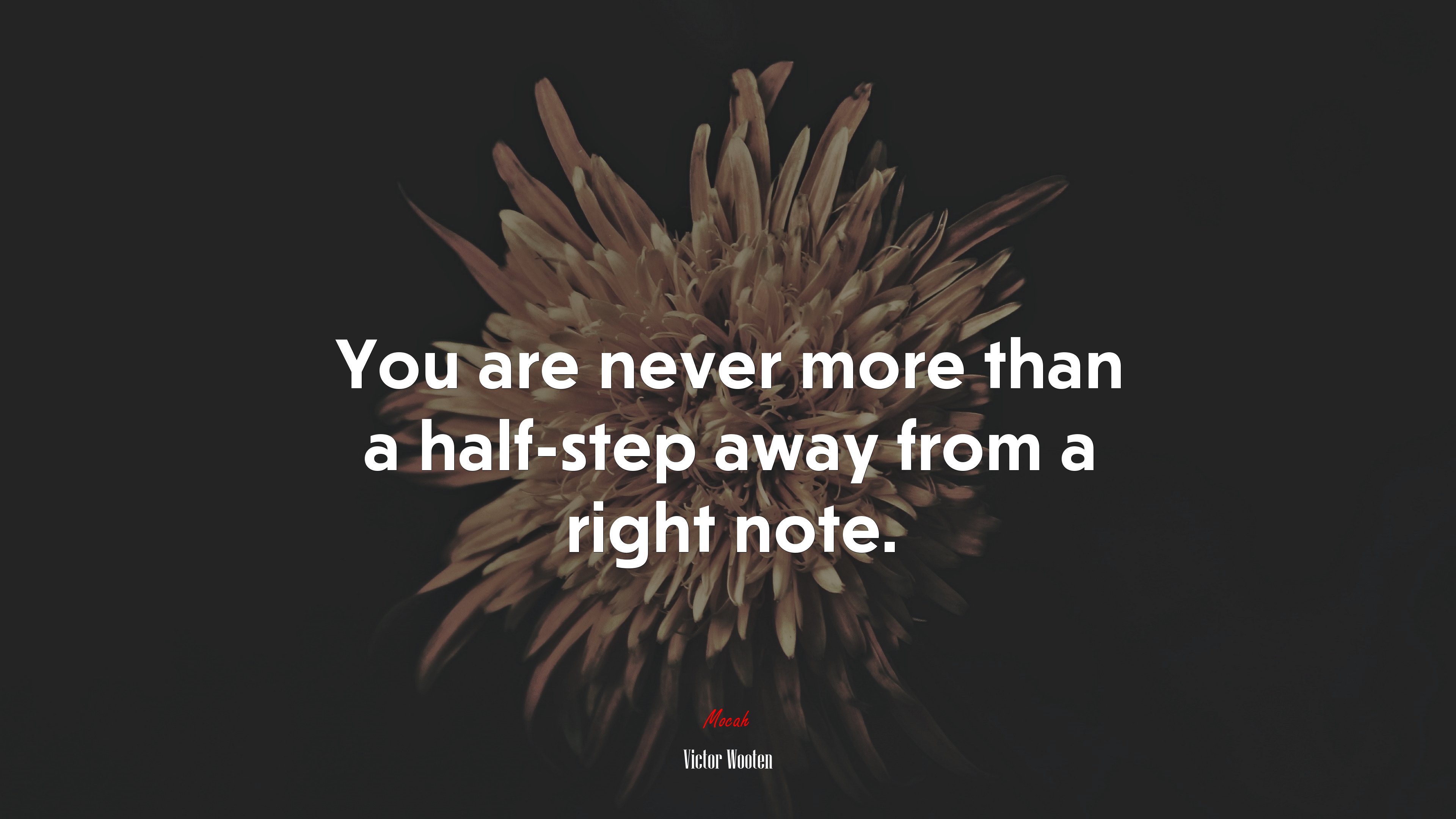 You are never more than a half-step away from a right note. | Victor Wooten quote HD Wallpaper