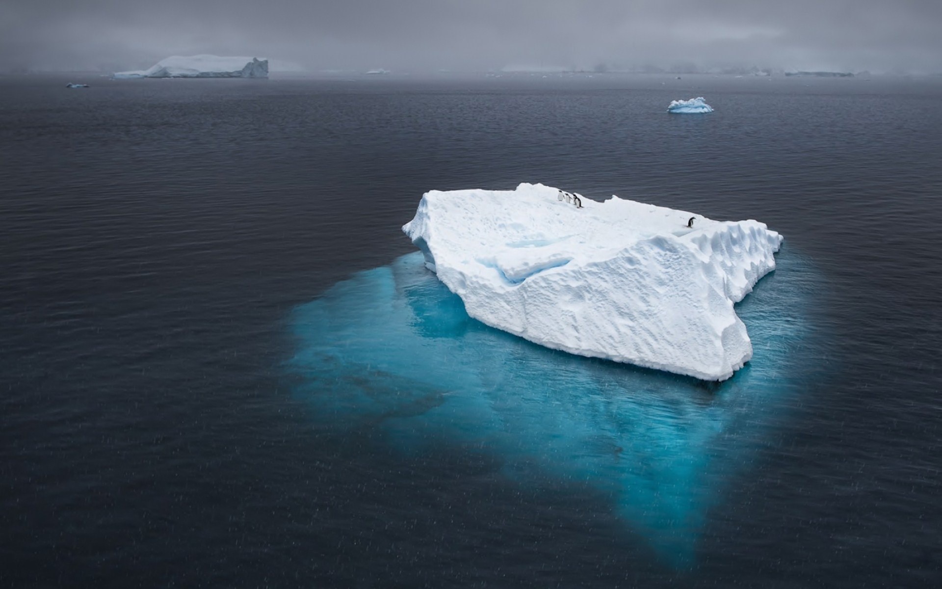 Penguins on an iceberg in the ocean HD Wallpaper