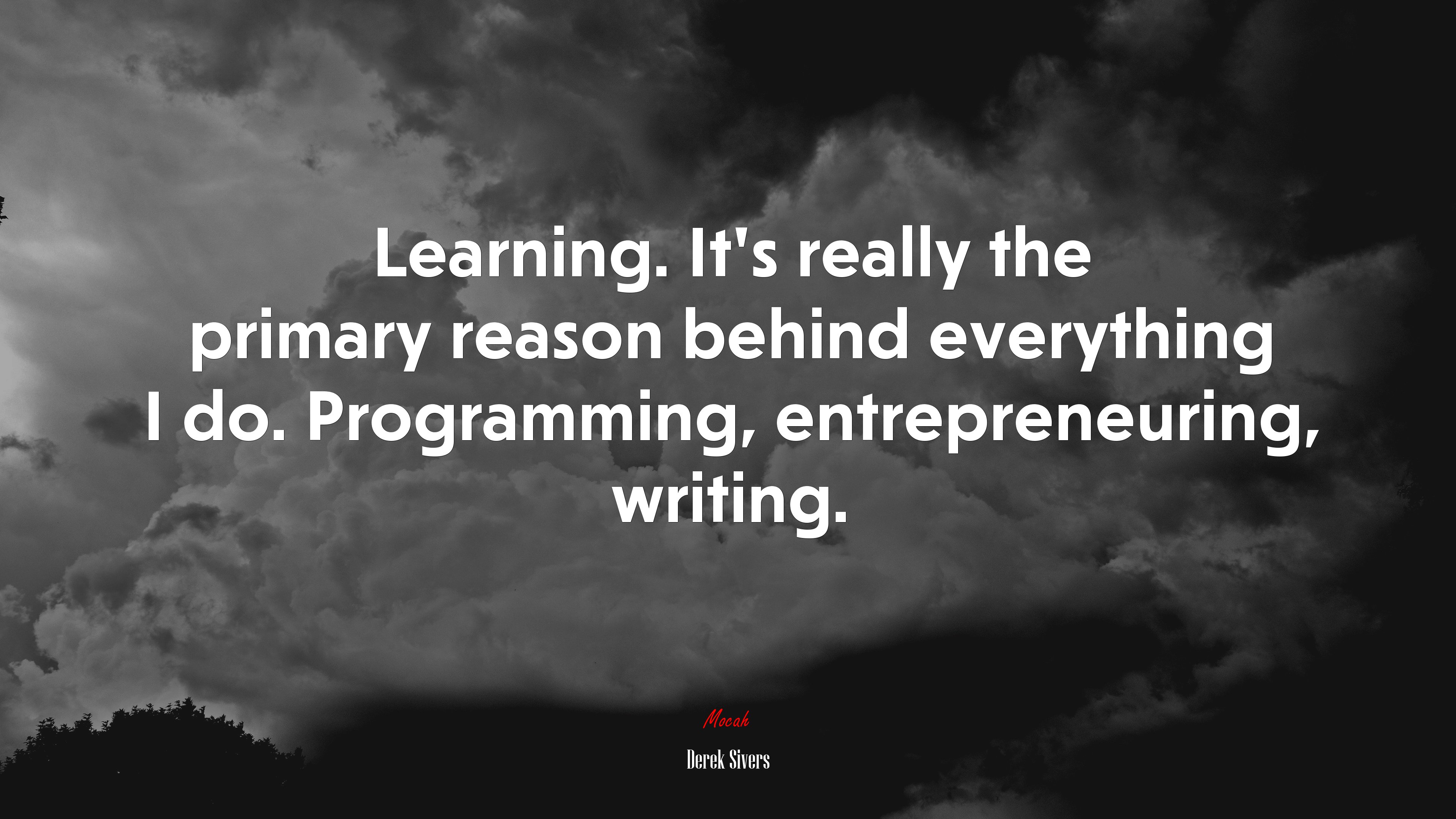 Learning. It’s really the primary reason behind everything I do. Programming, entrepreneuring, writing. | Derek Sivers quote HD Wallpaper