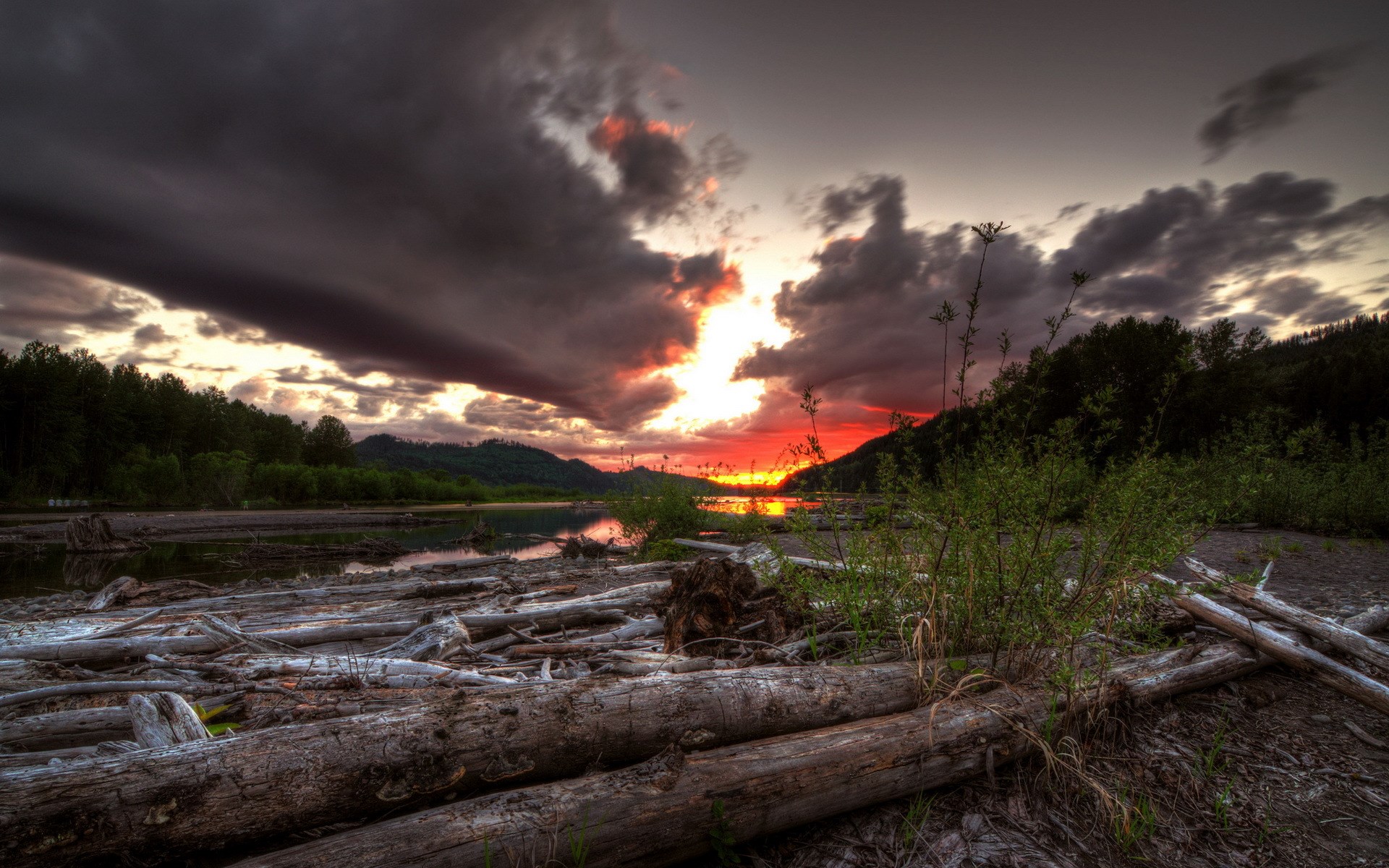 Sunset over a river with driftwood and stormy clouds HD Wallpaper