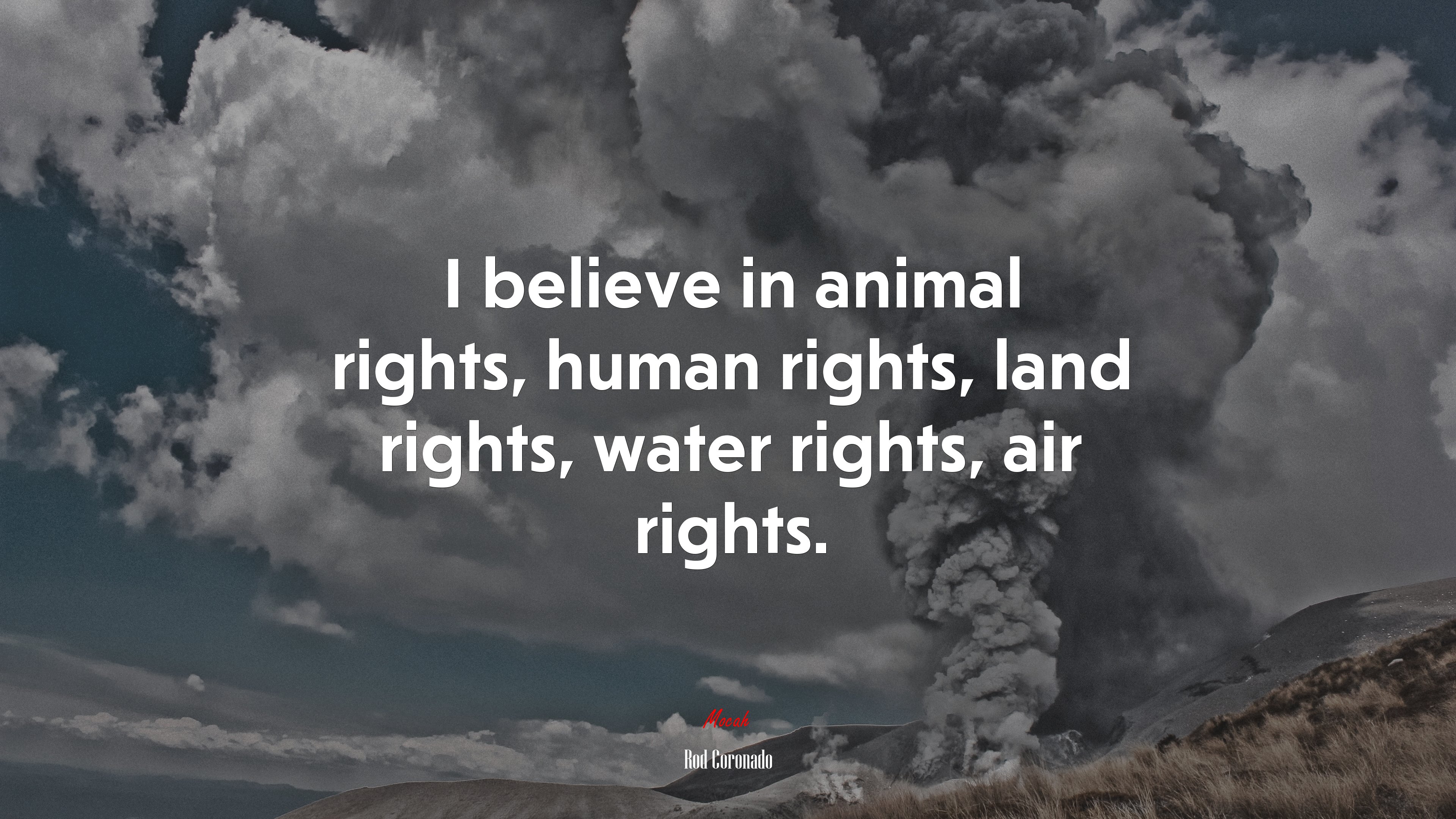 I believe in animal rights, human rights, land rights, water rights, air rights. | Rod Coronado quote HD Wallpaper