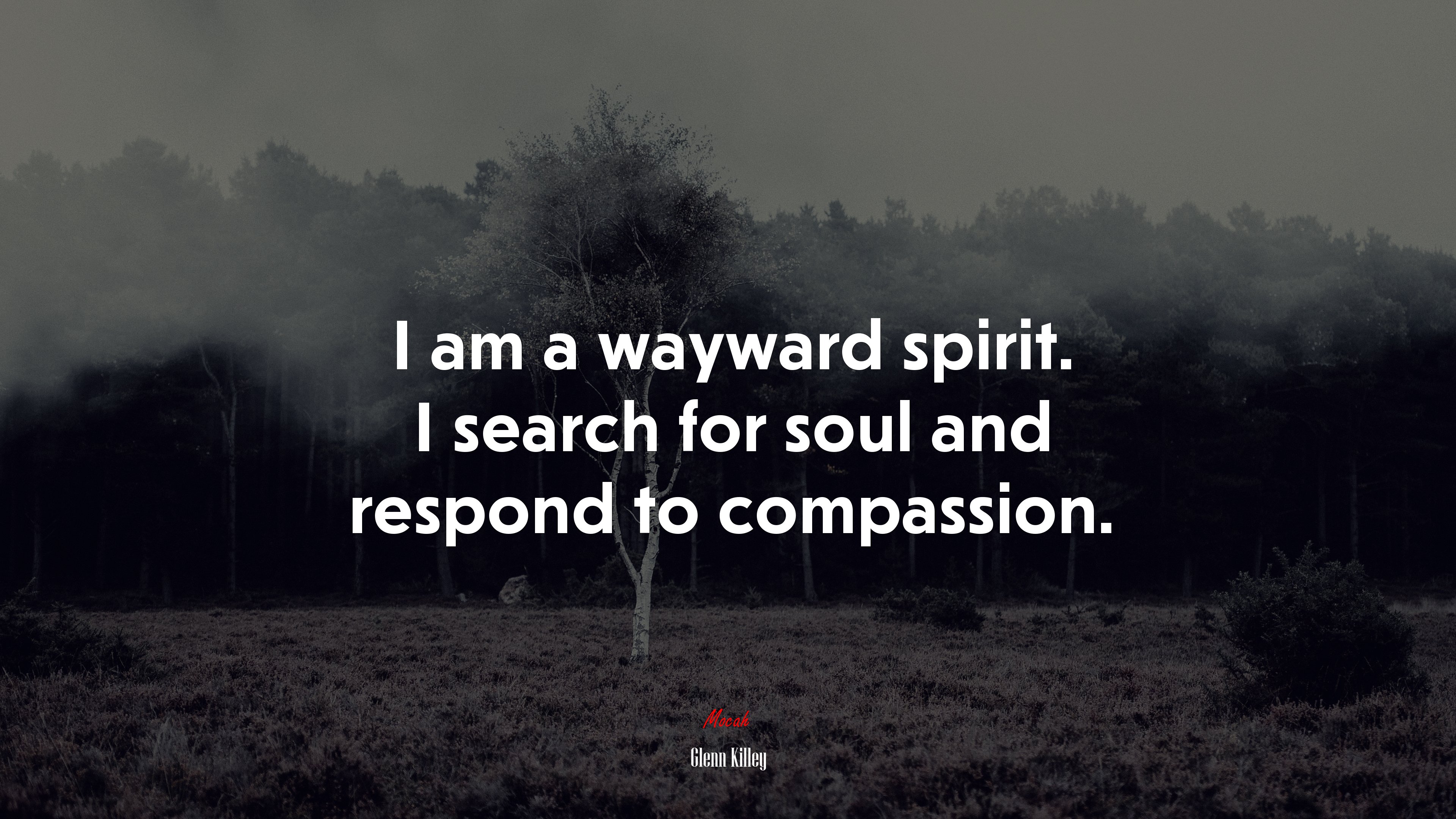 I am a wayward spirit. I search for soul and respond to compassion. | Glenn Killey quote HD Wallpaper