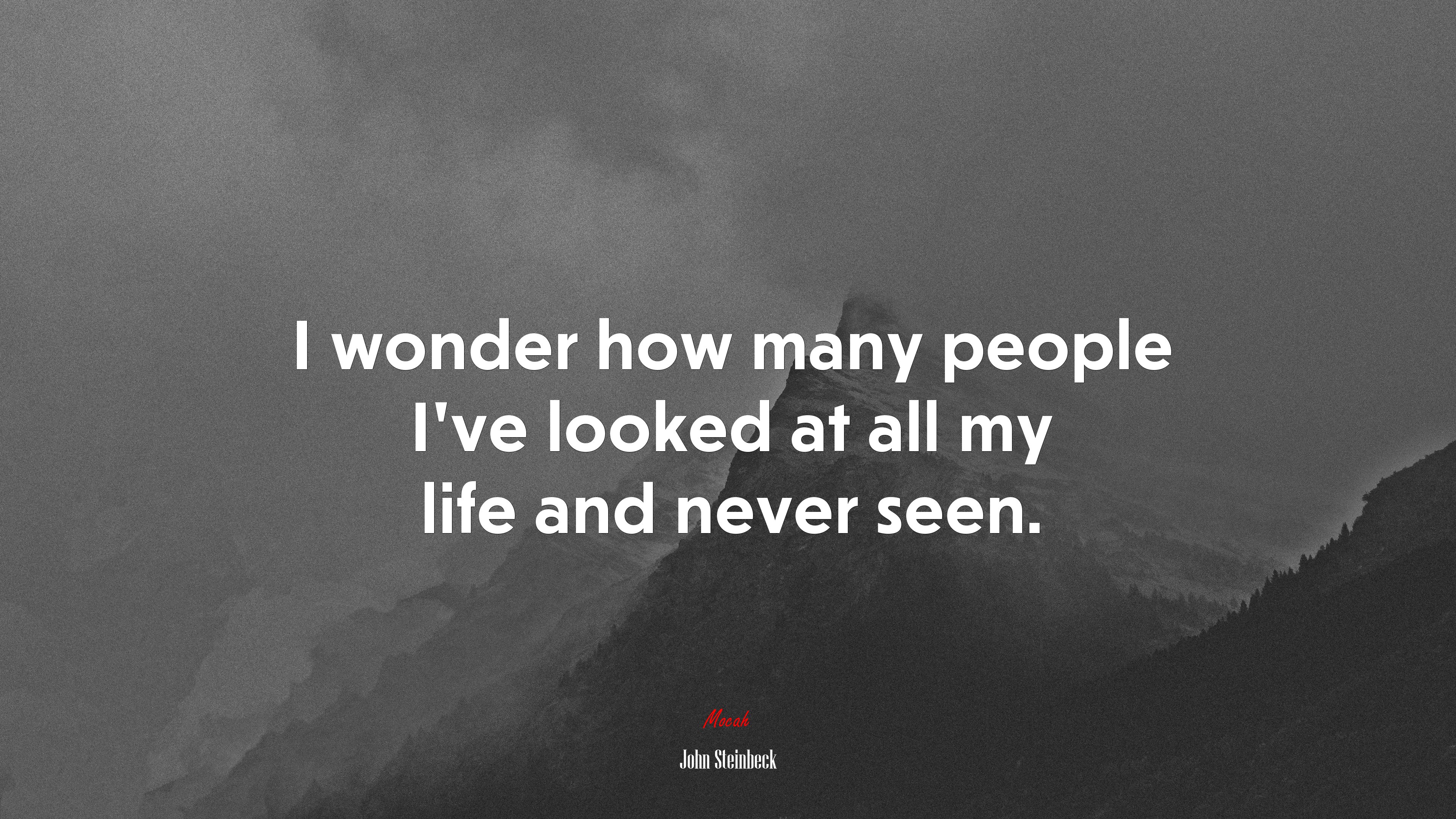 I wonder how many people Ive looked at all my life and never seen. | John Steinbeck quote HD Wallpaper