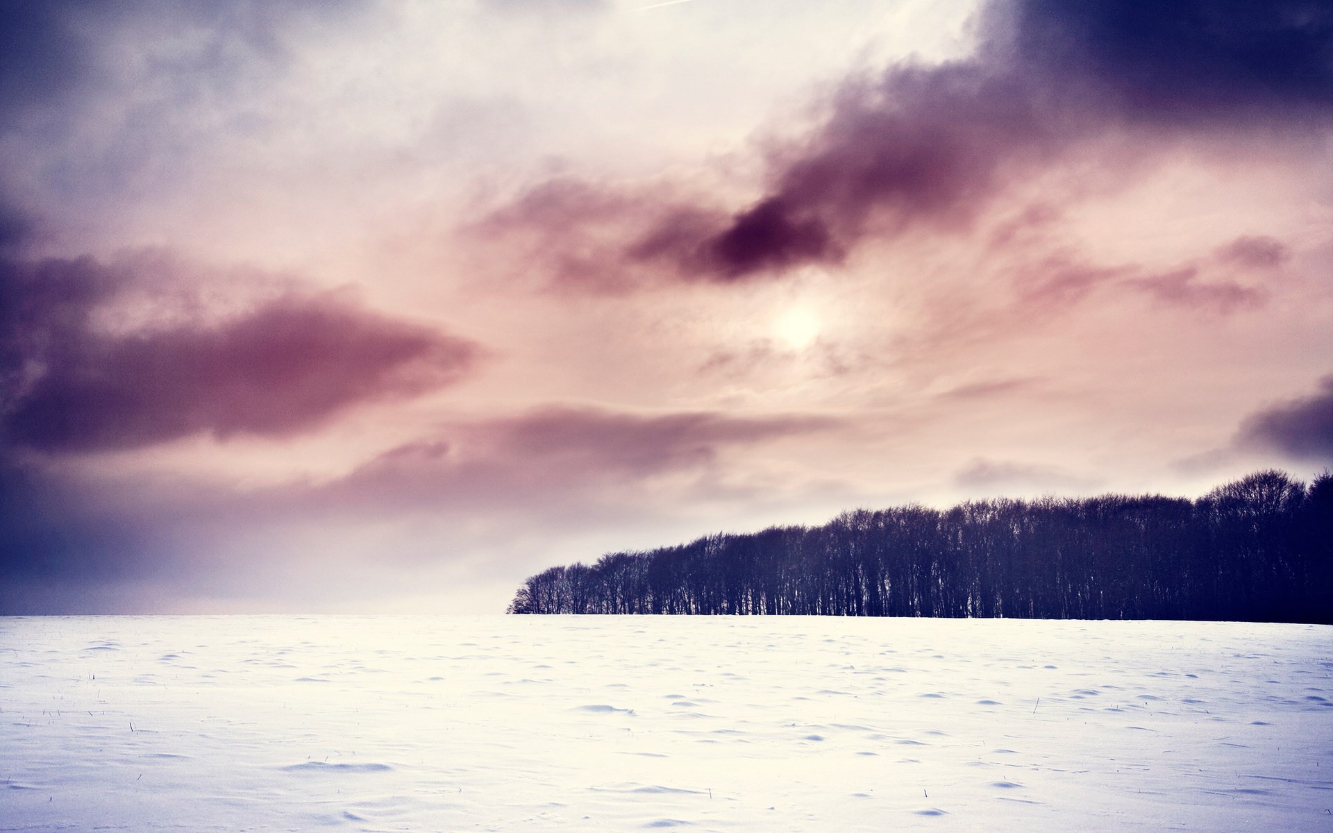 Snowy field with trees under a cloudy sky HD Wallpaper