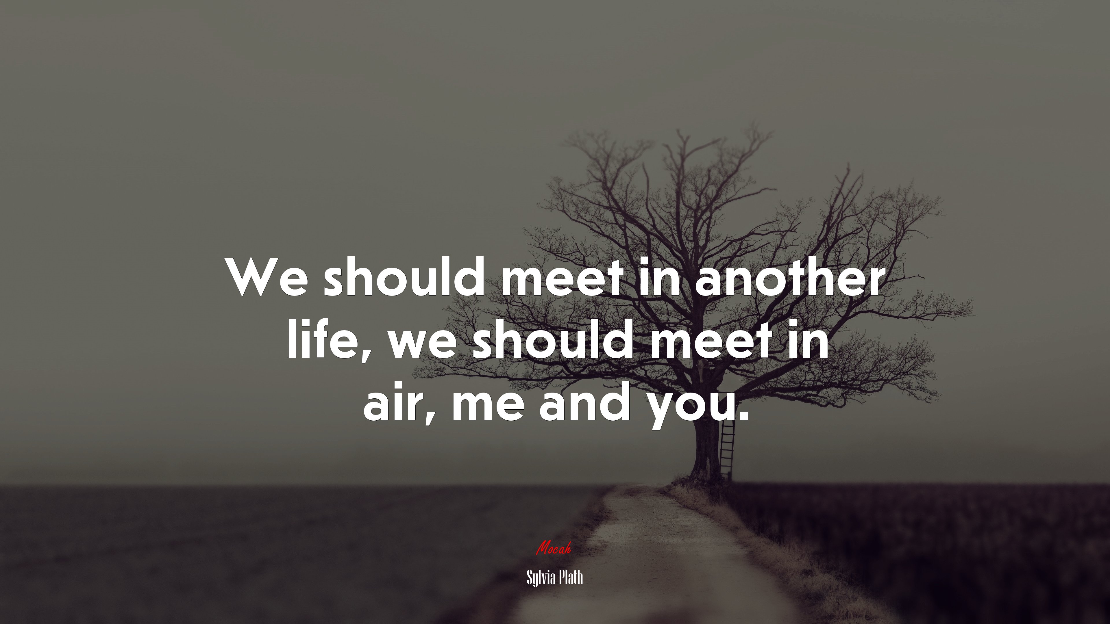 We should meet in another life, we should meet in air, me and you. | Sylvia Plath quote HD Wallpaper