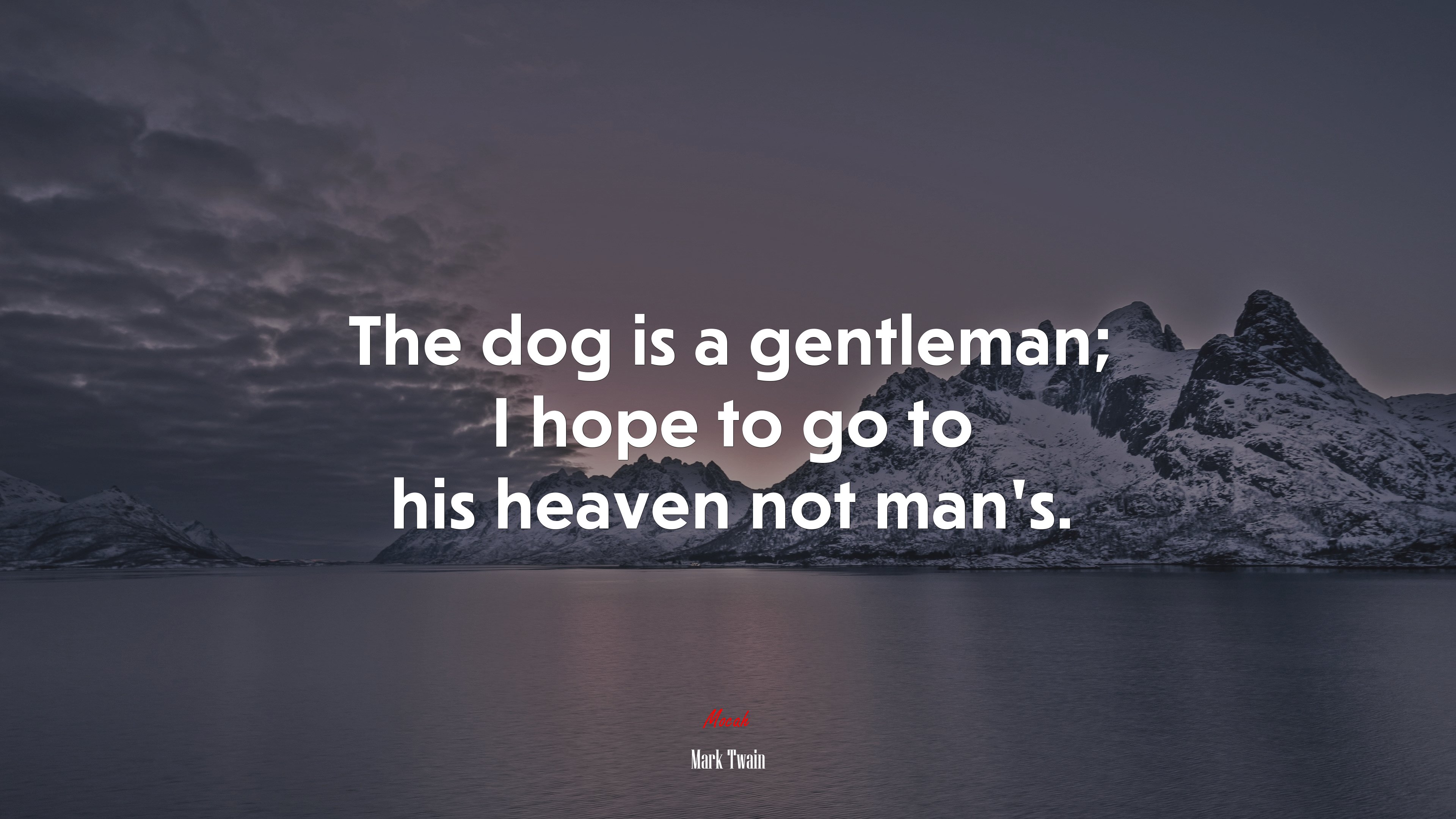 The dog is a gentleman; I hope to go to his heaven not man’s. | Mark Twain quote HD Wallpaper