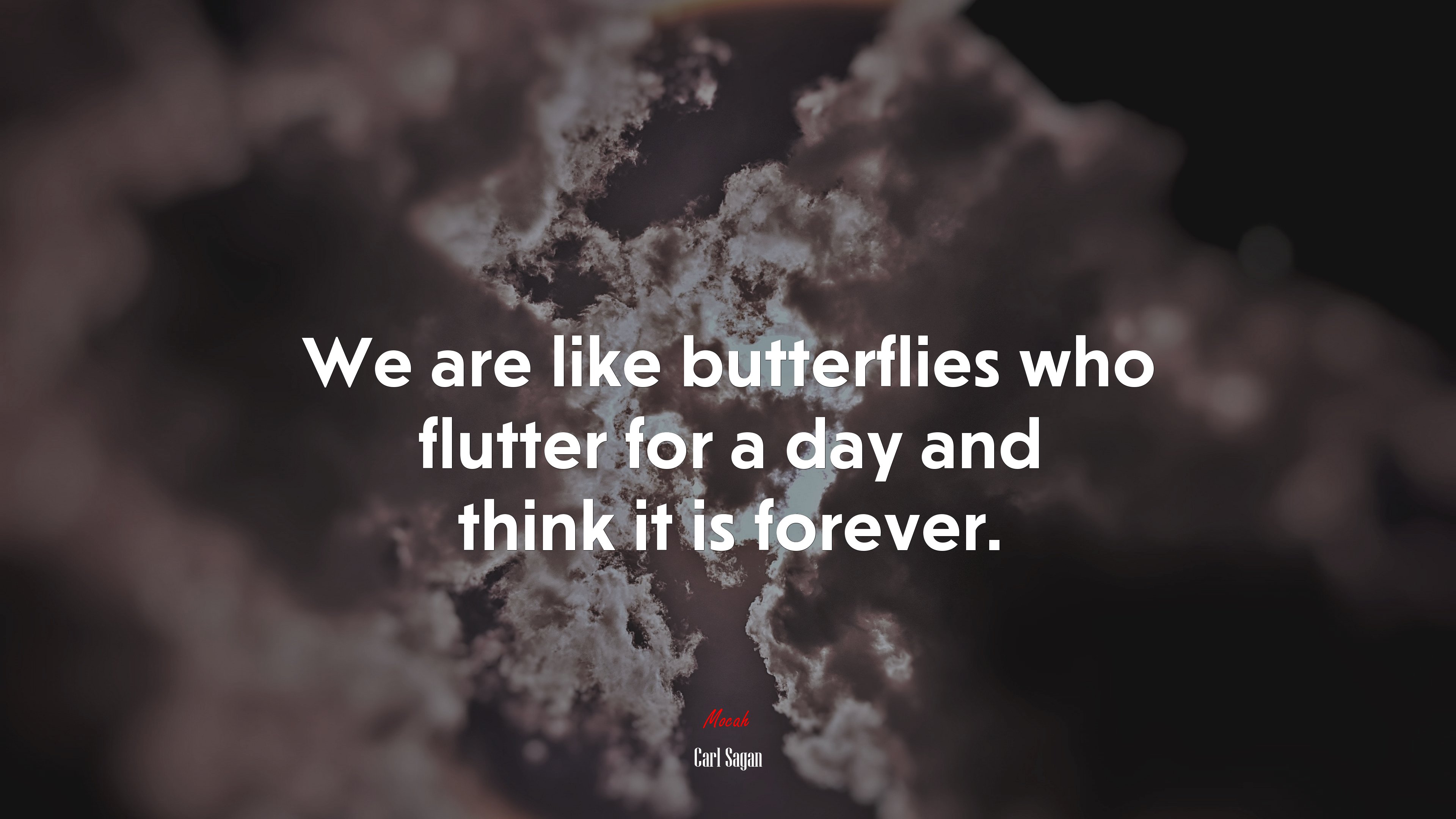 We are like butterflies who flutter for a day and think it is forever. | Carl Sagan quote HD Wallpaper