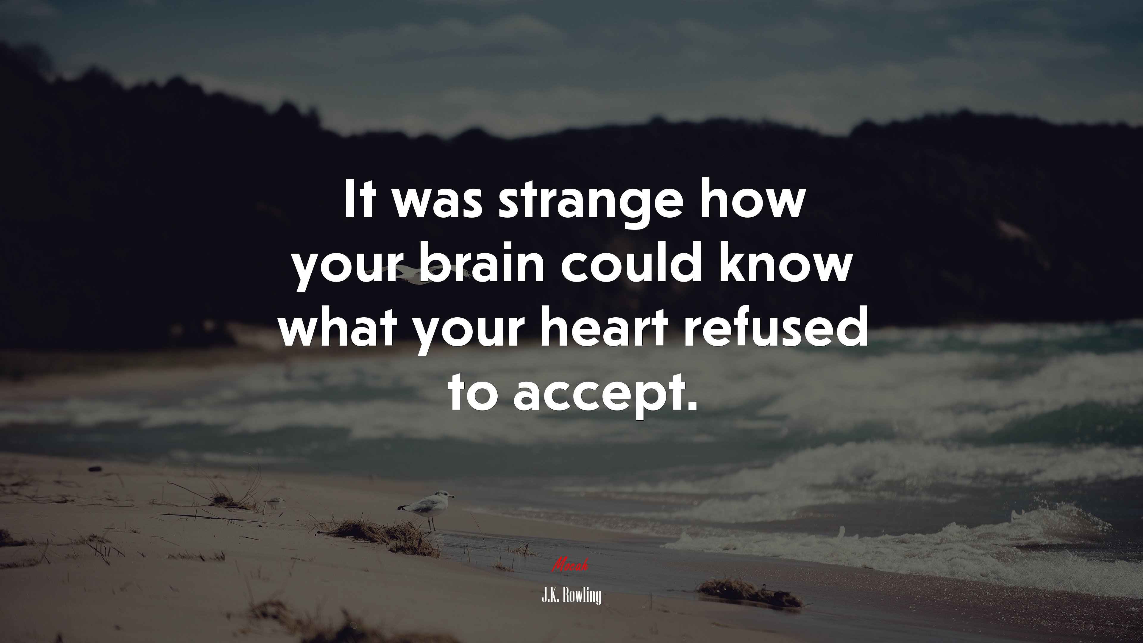 It was strange how your brain could know what your heart refused to accept. | J.K. Rowling quote HD Wallpaper