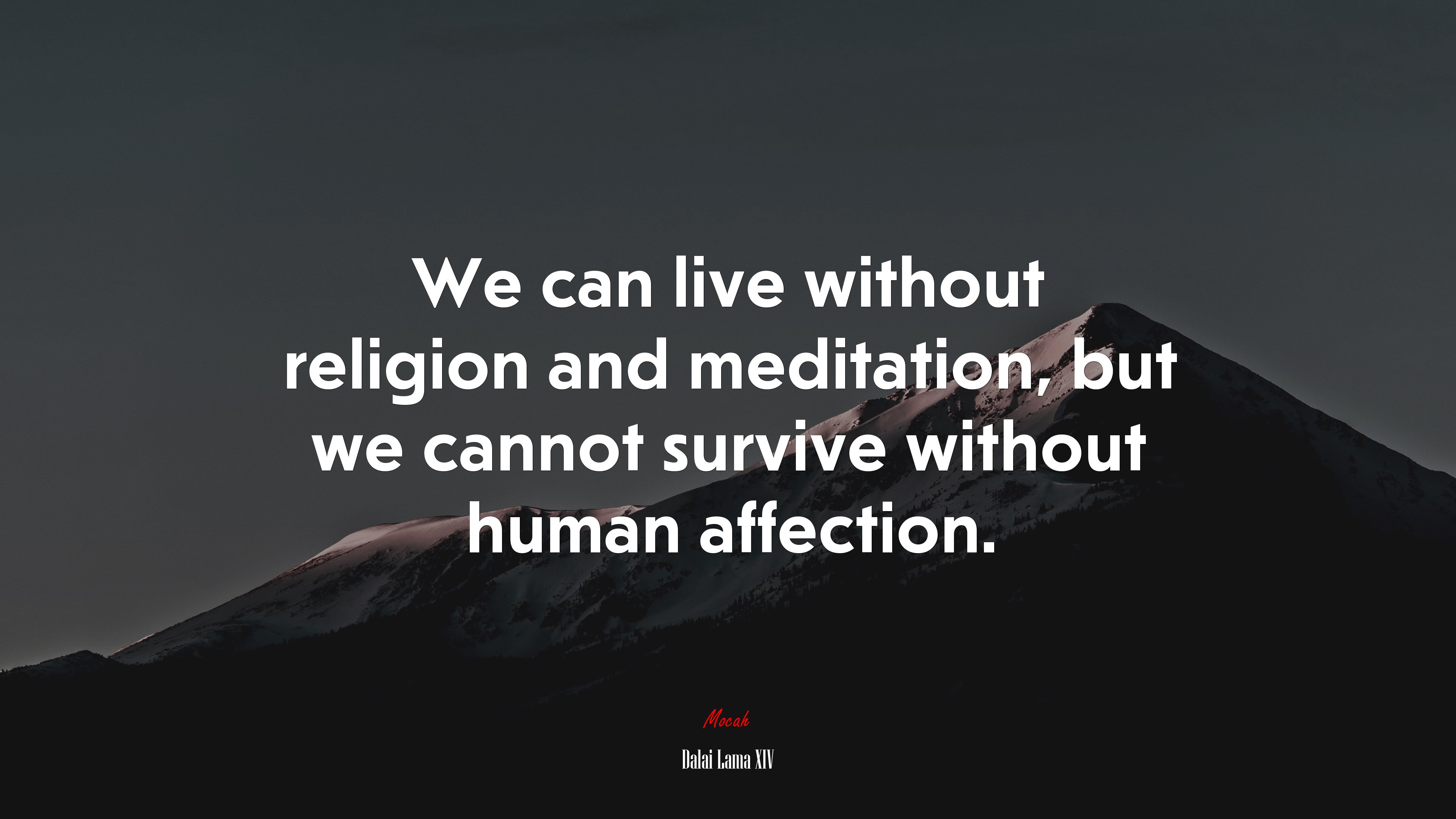 We can live without religion and meditation, but we cannot survive without human affection. | Dalai Lama XIV quote HD Wallpaper