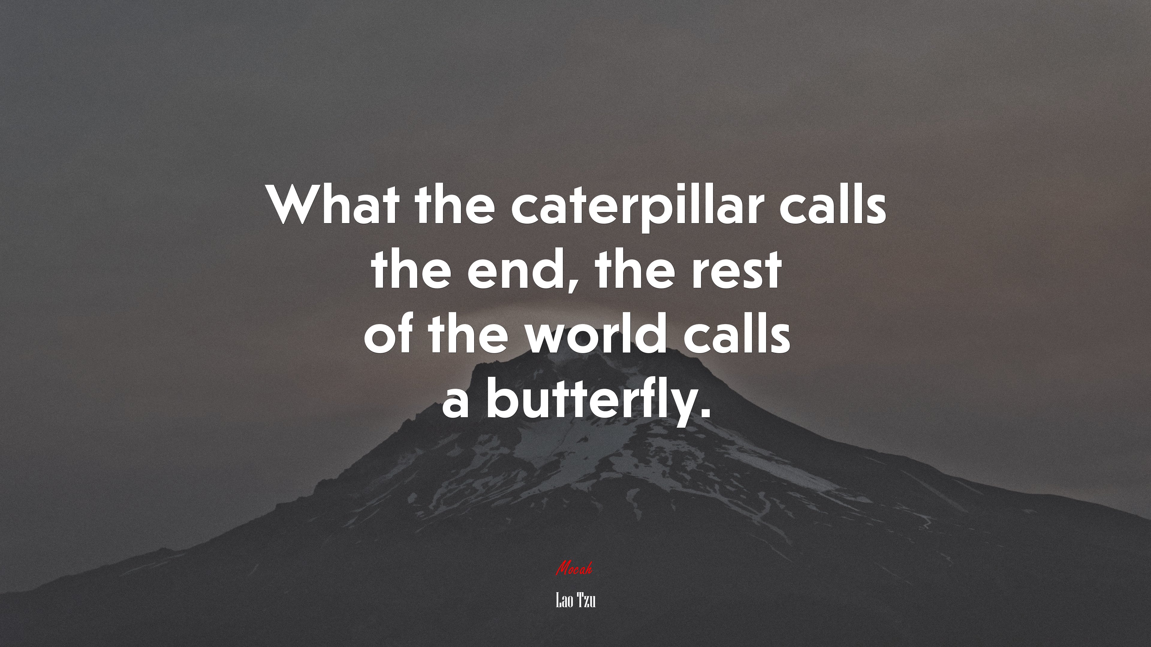 What the caterpillar calls the end, the rest of the world calls a butterfly. | Lao Tzu quote HD Wallpaper