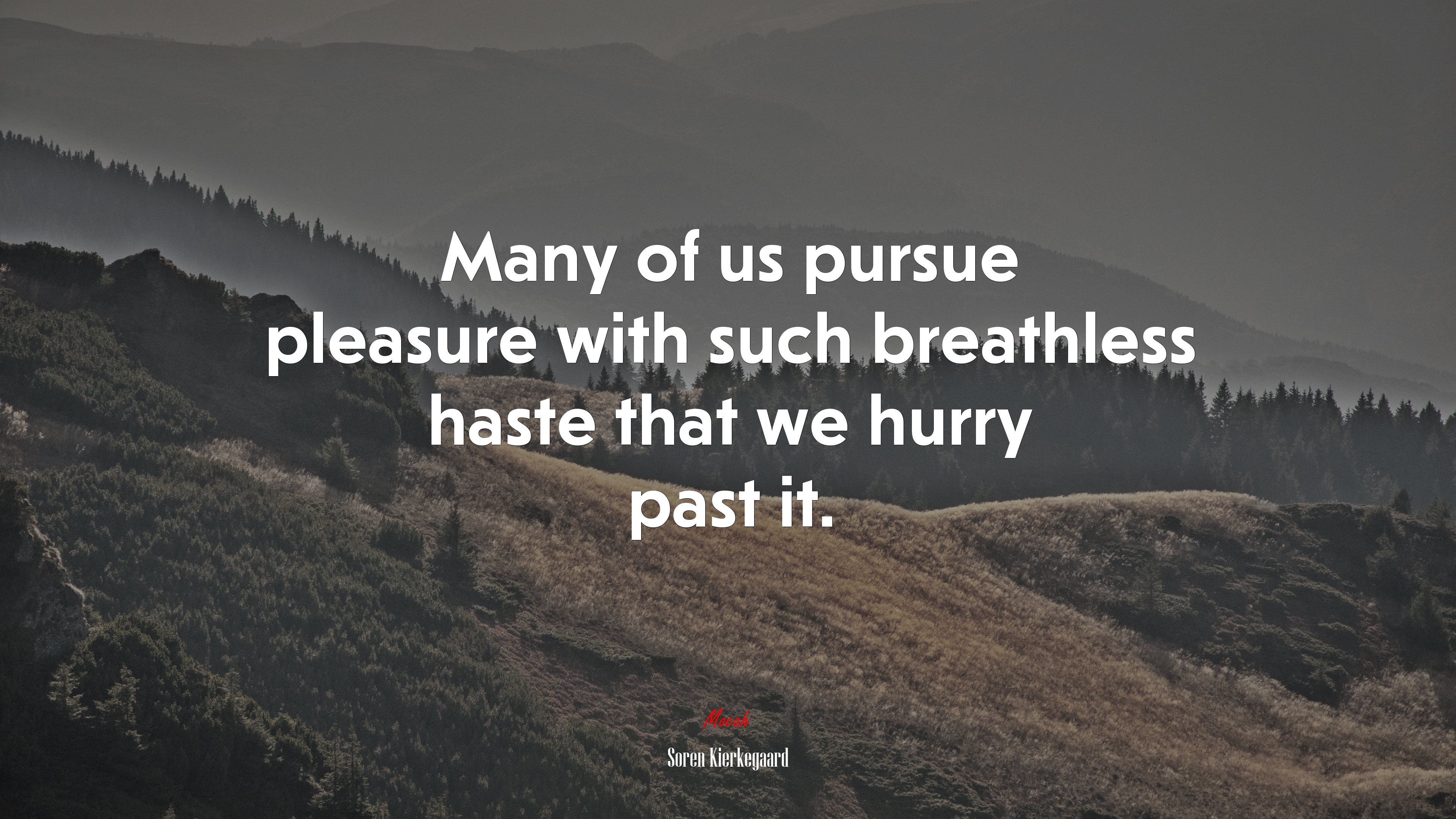 Many of us pursue pleasure with such breathless haste that we hurry past it. | Soren Kierkegaard quote HD Wallpaper