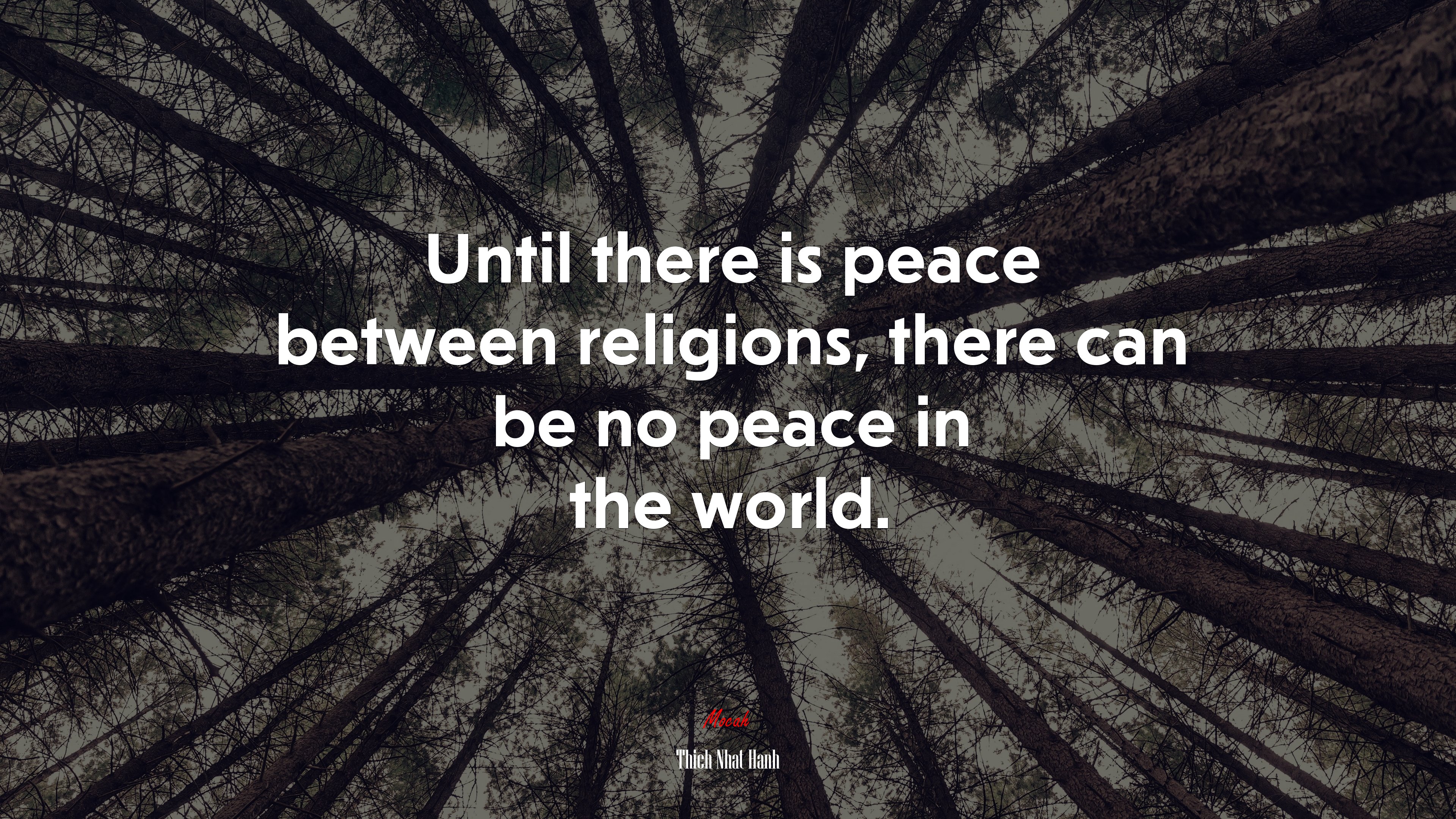 Until there is peace between religions, there can be no peace in the world. | Thich Nhat Hanh quote HD Wallpaper