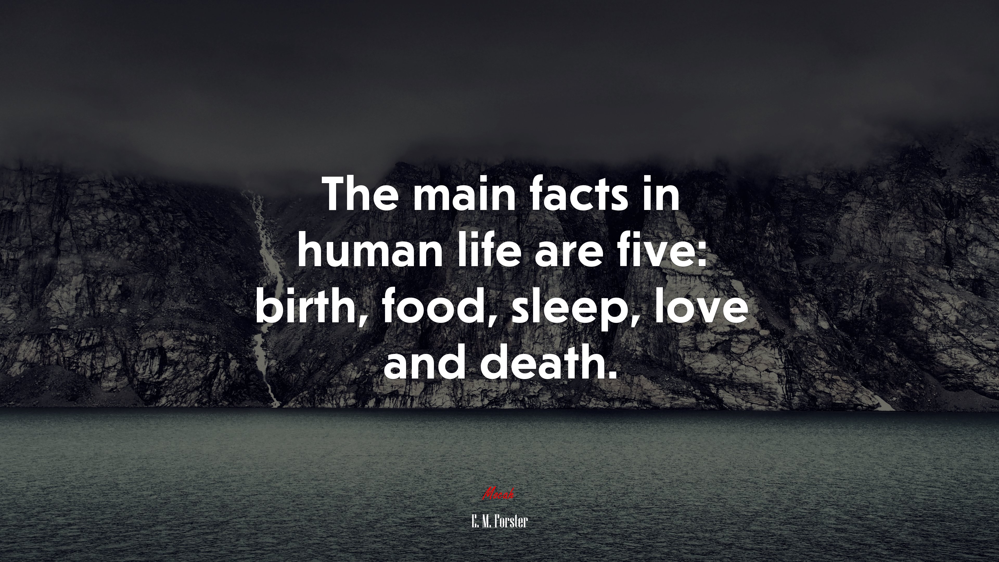The main facts in human life are five: birth, food, sleep, love and death. | E. M. Forster quote HD Wallpaper