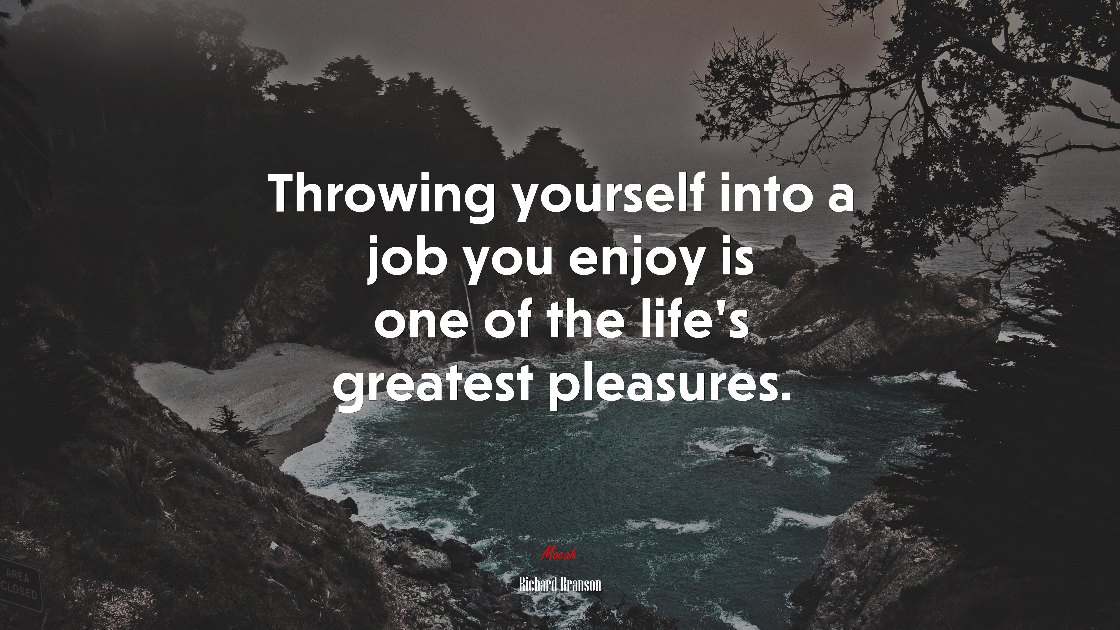 Throwing yourself into a job you enjoy is one of the life’s greatest pleasures. | Richard Branson quote HD Wallpaper