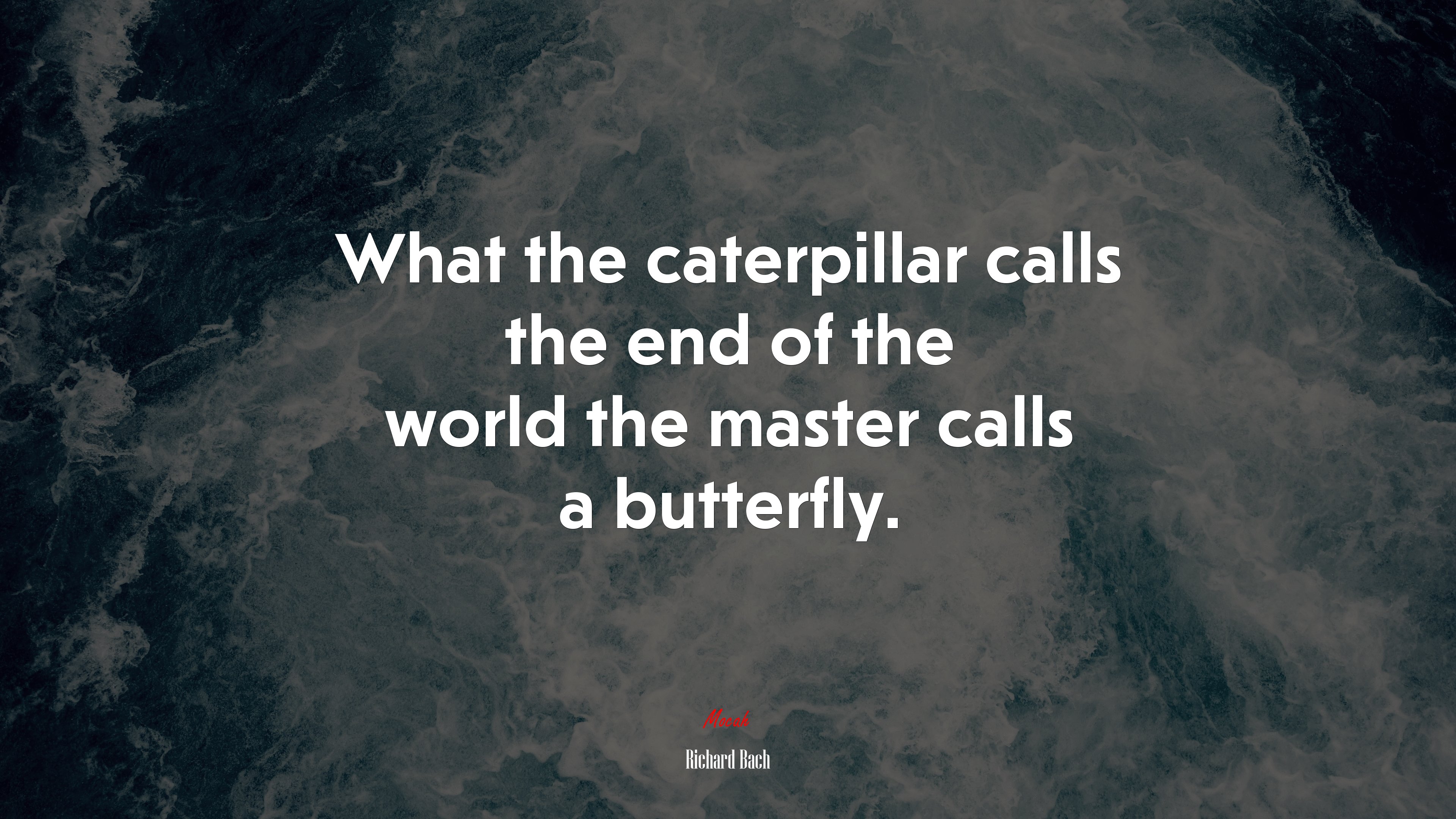 What the caterpillar calls the end of the world the master calls a butterfly. | Richard Bach quote HD Wallpaper