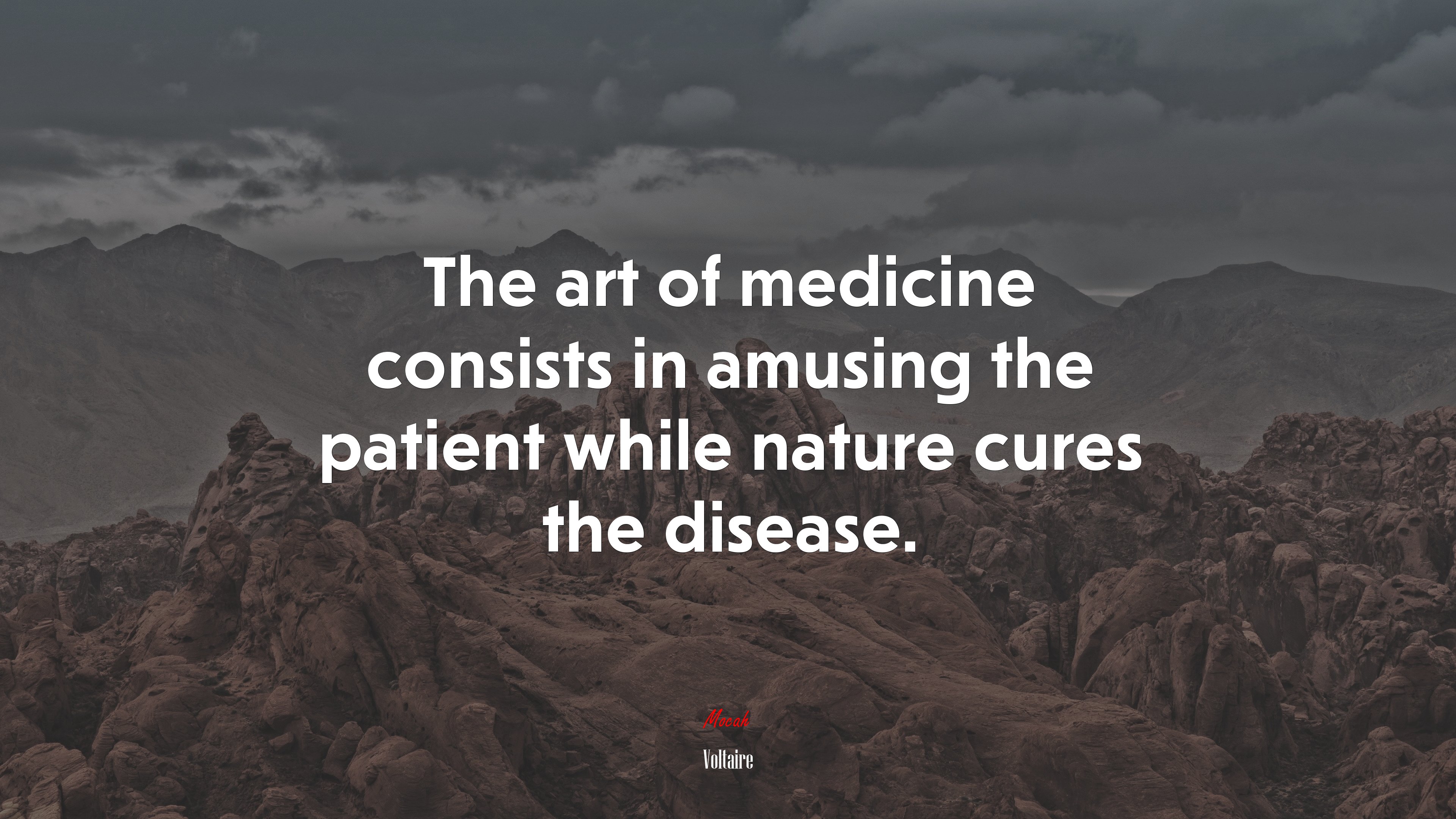 The art of medicine consists in amusing the patient while nature cures the disease. | Voltaire quote HD Wallpaper