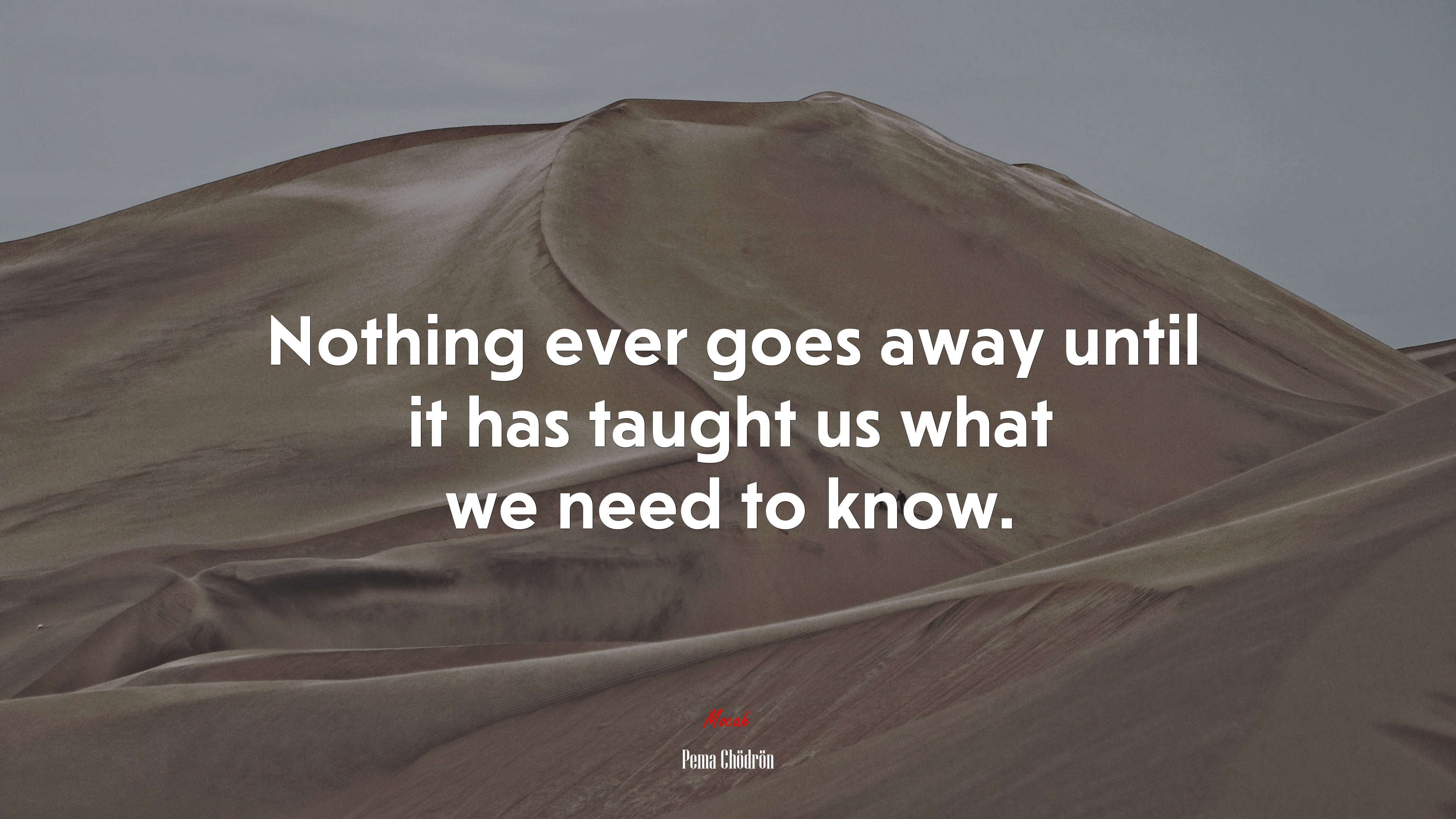 Nothing ever goes away until it has taught us what we need to know. | Pema Chödrön quote HD Wallpaper