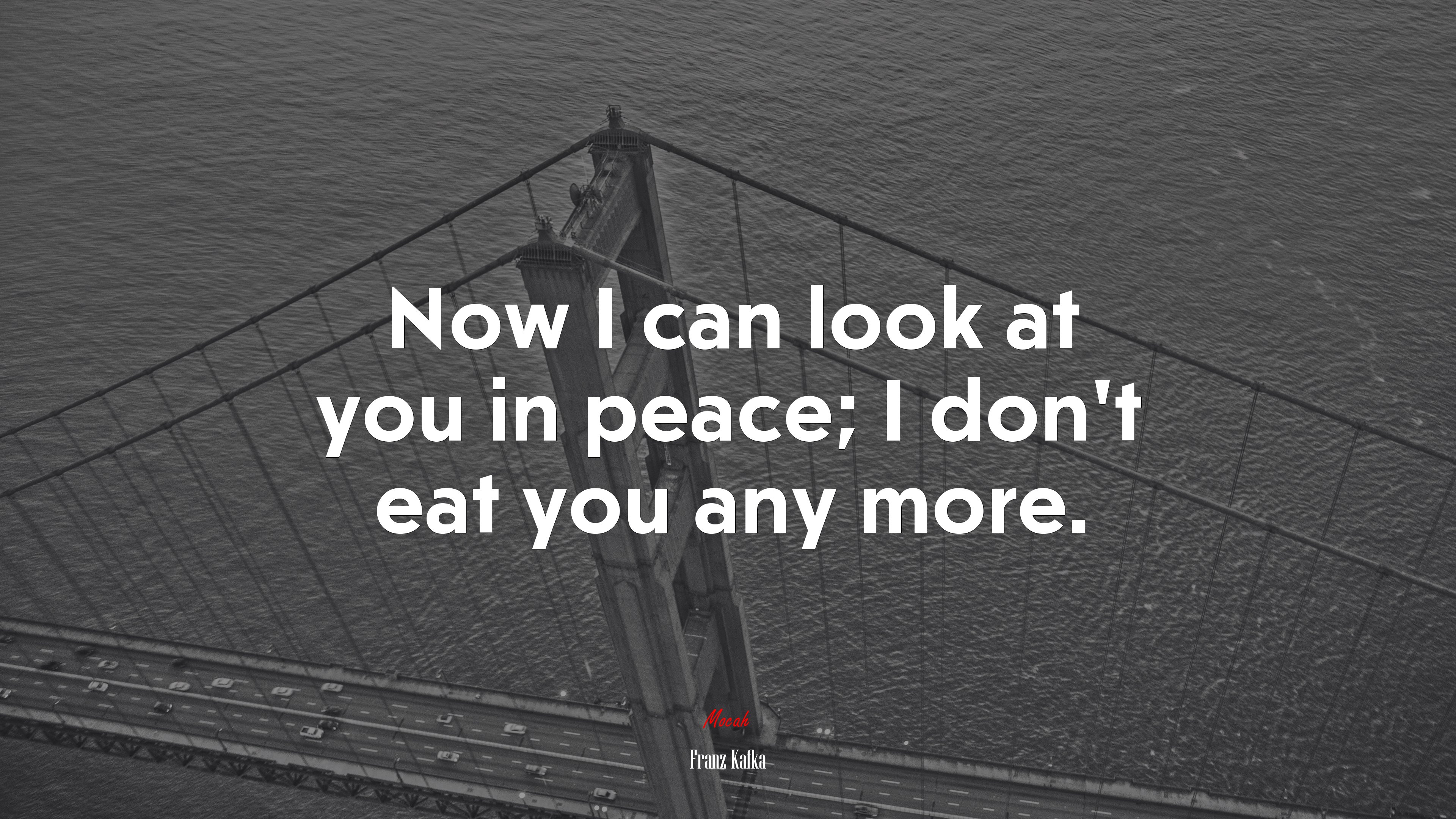 Now I can look at you in peace; I don’t eat you any more. | Franz Kafka quote HD Wallpaper