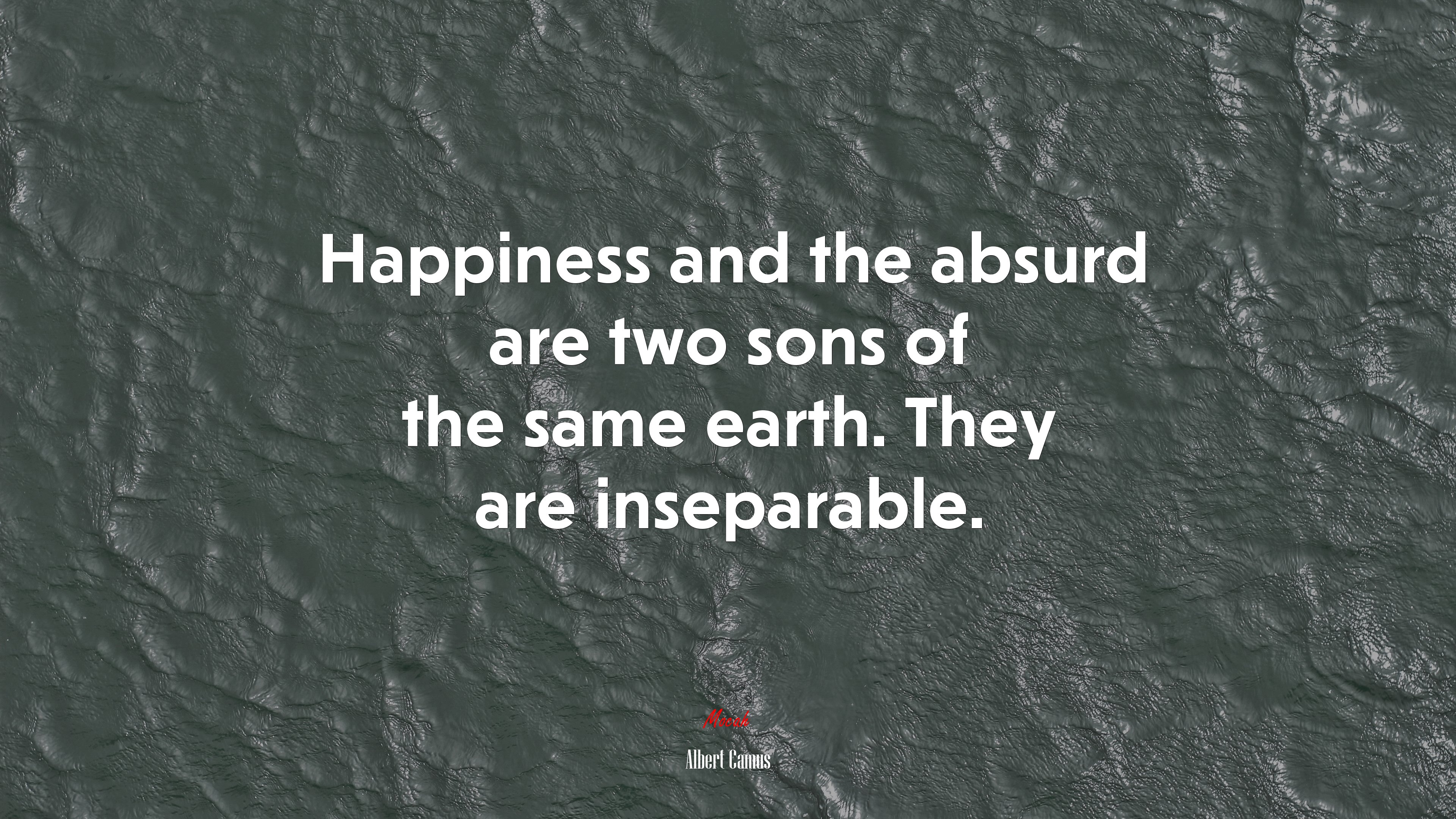 Happiness and the absurd are two sons of the same earth. They are inseparable. | Albert Camus quote HD Wallpaper