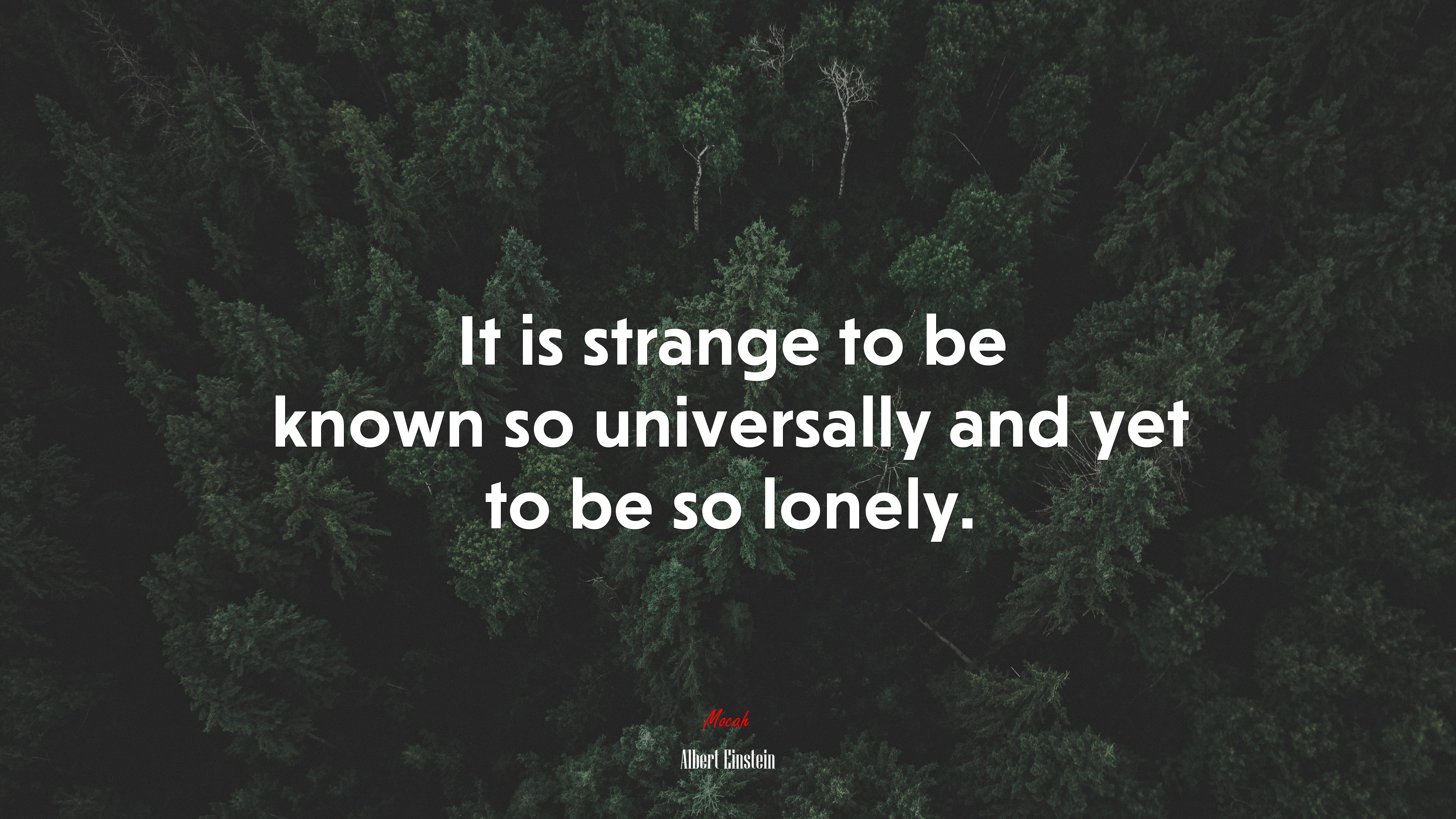 It is strange to be known so universally and yet to be so lonely. | Albert Einstein quote HD Wallpaper