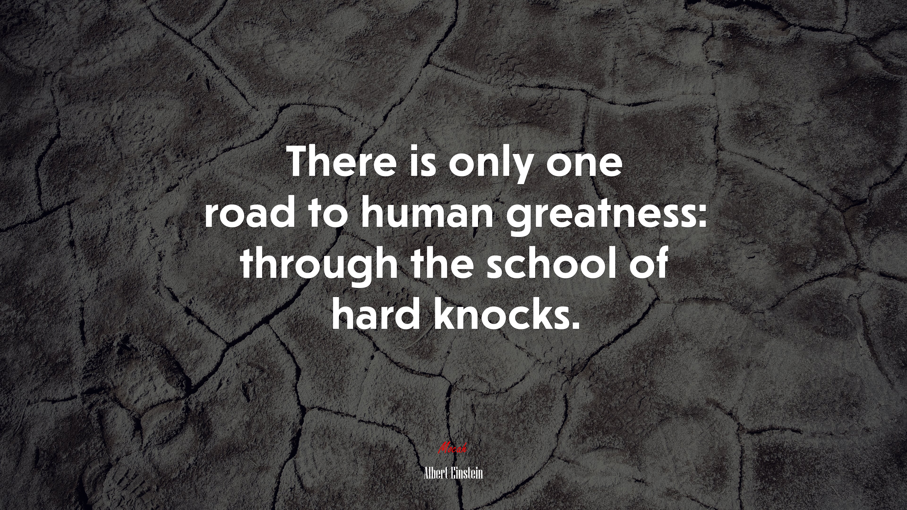 There is only one road to human greatness: through the school of hard knocks. | Albert Einstein quote HD Wallpaper