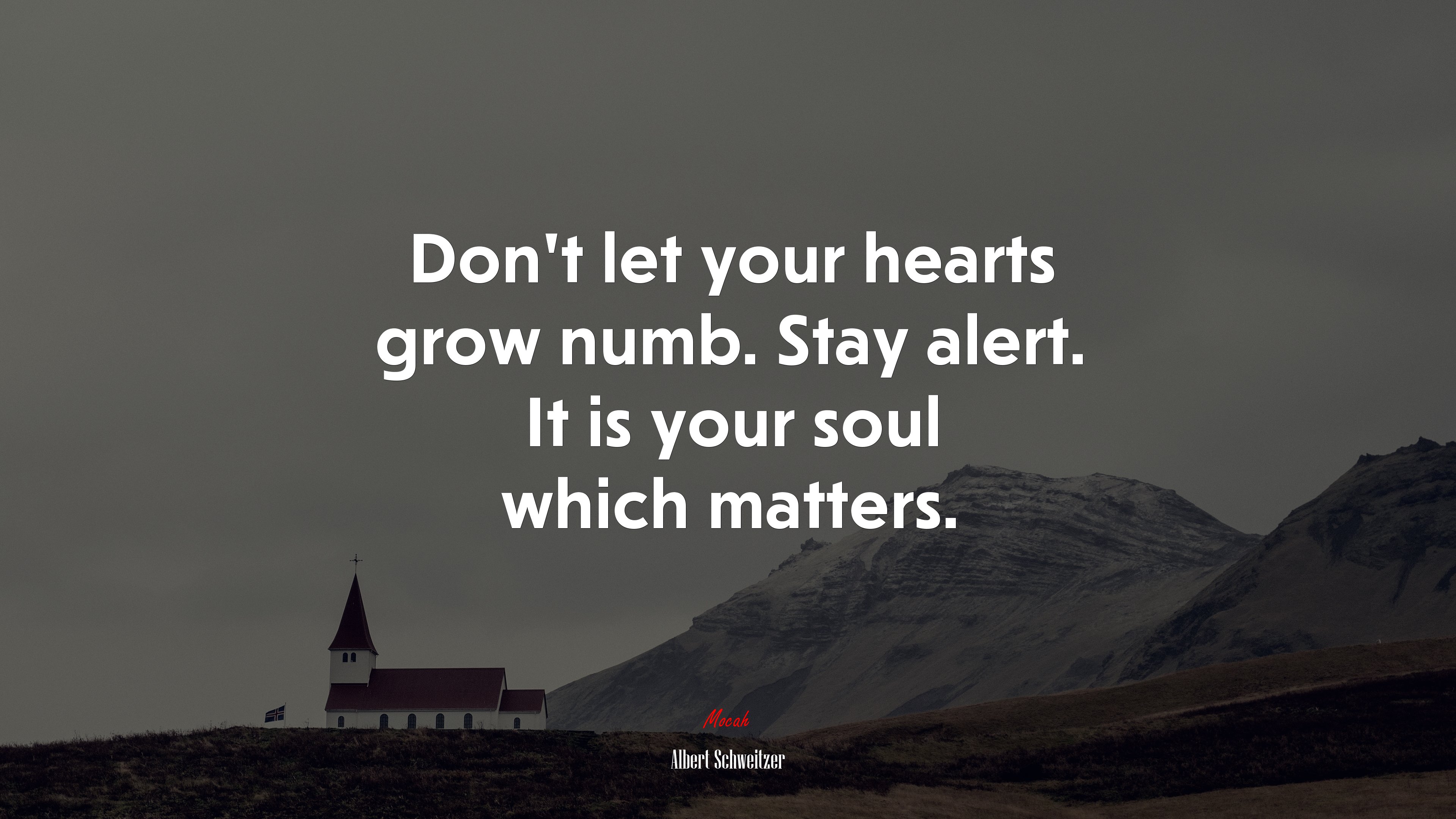 Don’t let your hearts grow numb. Stay alert. It is your soul which matters. | Albert Schweitzer quote HD Wallpaper