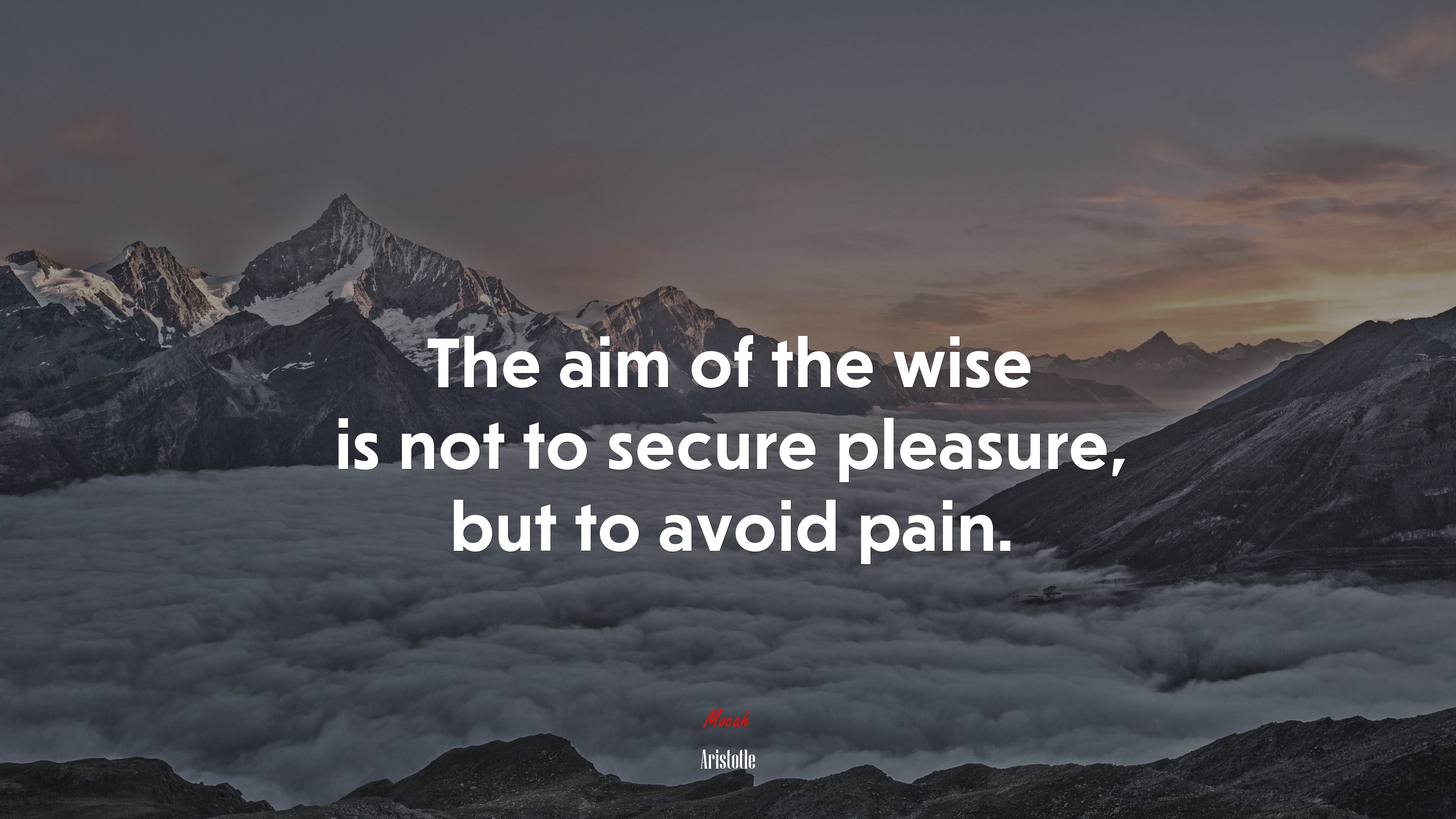 The aim of the wise is not to secure pleasure, but to avoid pain. | Aristotle quote HD Wallpaper