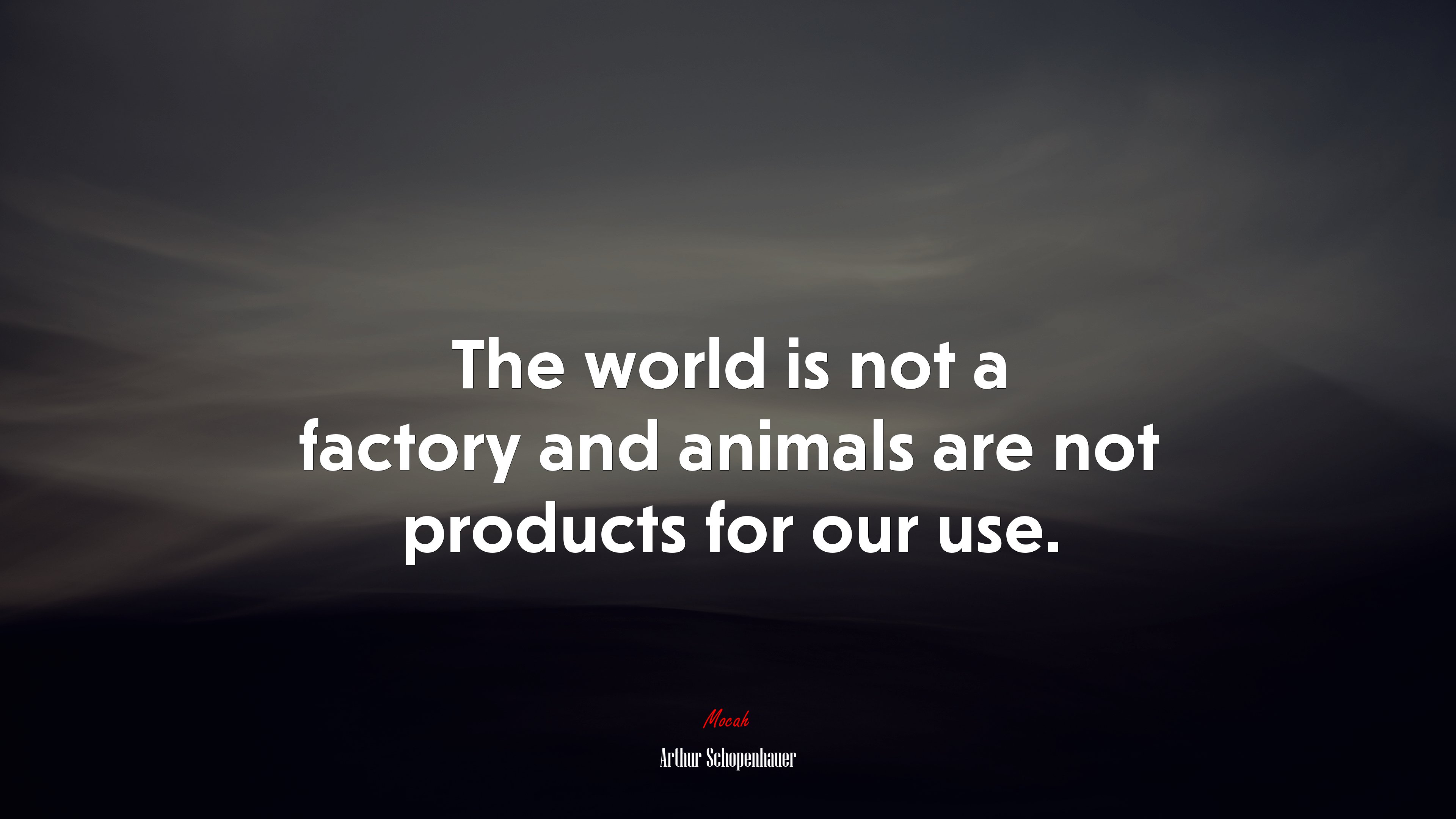 The world is not a factory and animals are not products for our use. | Arthur Schopenhauer quote HD Wallpaper
