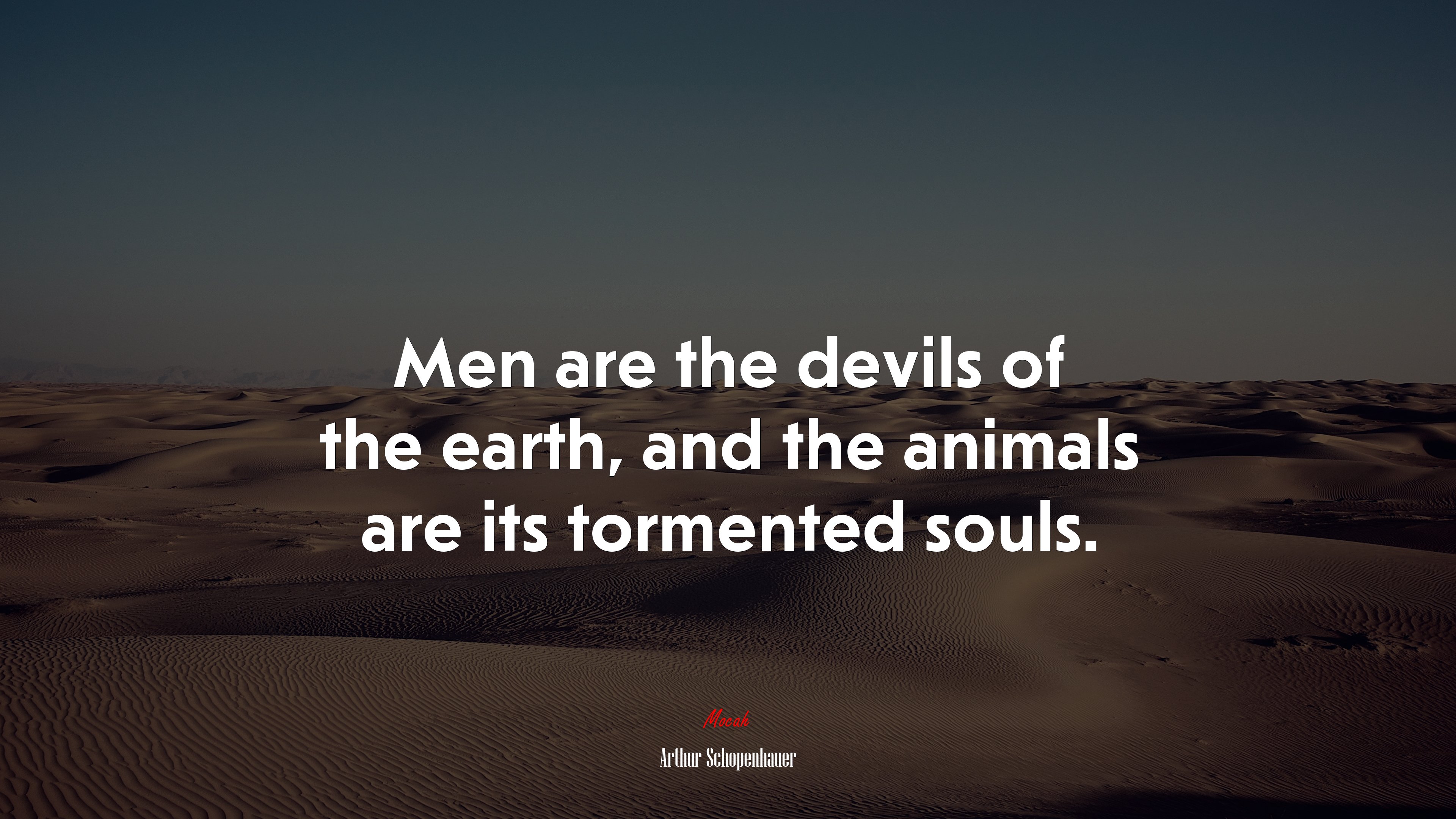 Men are the devils of the earth, and the animals are its tormented souls. | Arthur Schopenhauer quote HD Wallpaper